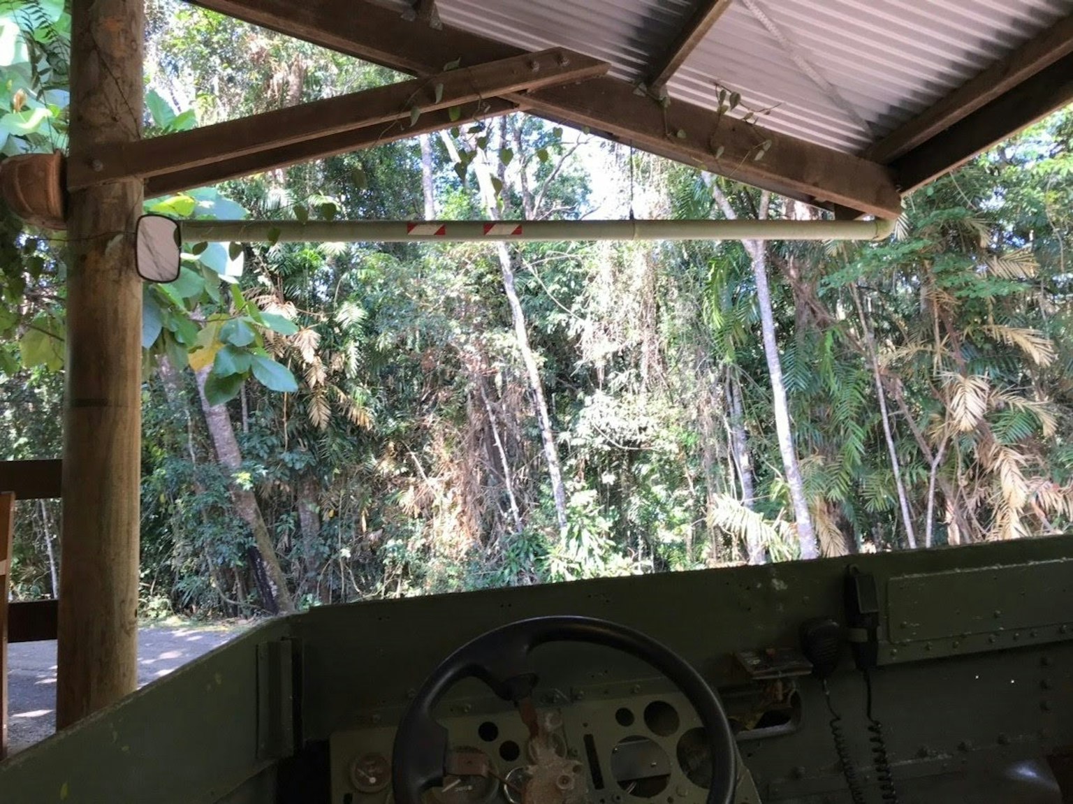 Vista de un bosque verde a través de una estructura de techo de madera con volante de vehículo
