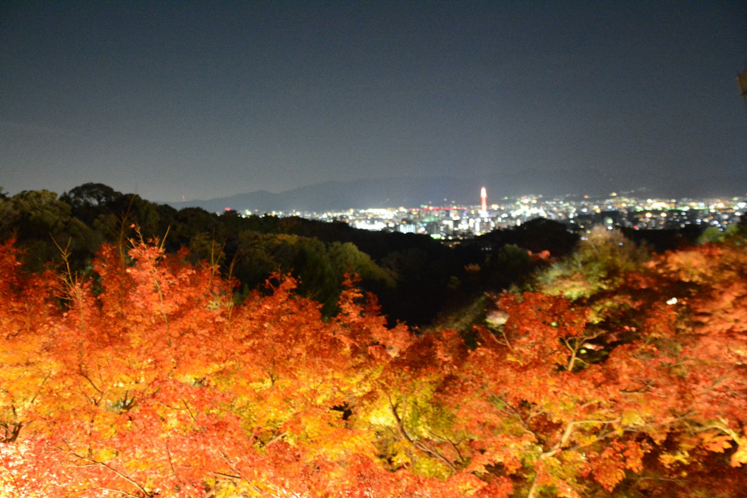東京夜景與秋天的葉子