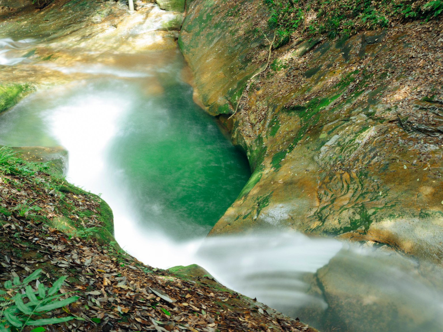 Vista panoramica di un torrente con acqua verde circondato da rocce e vegetazione