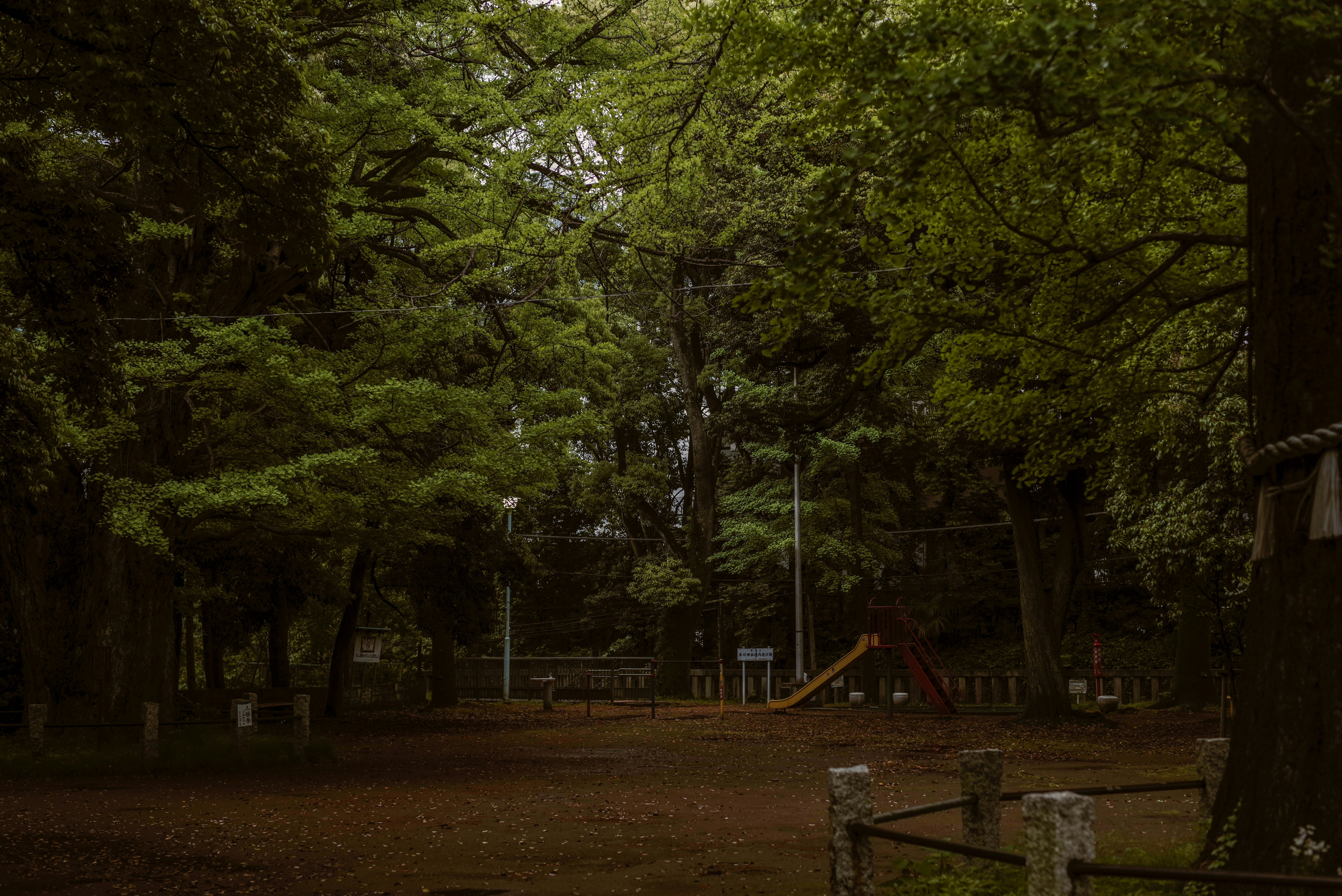 赤坂氷川神社境内の木々に囲まれた子どもの遊び場