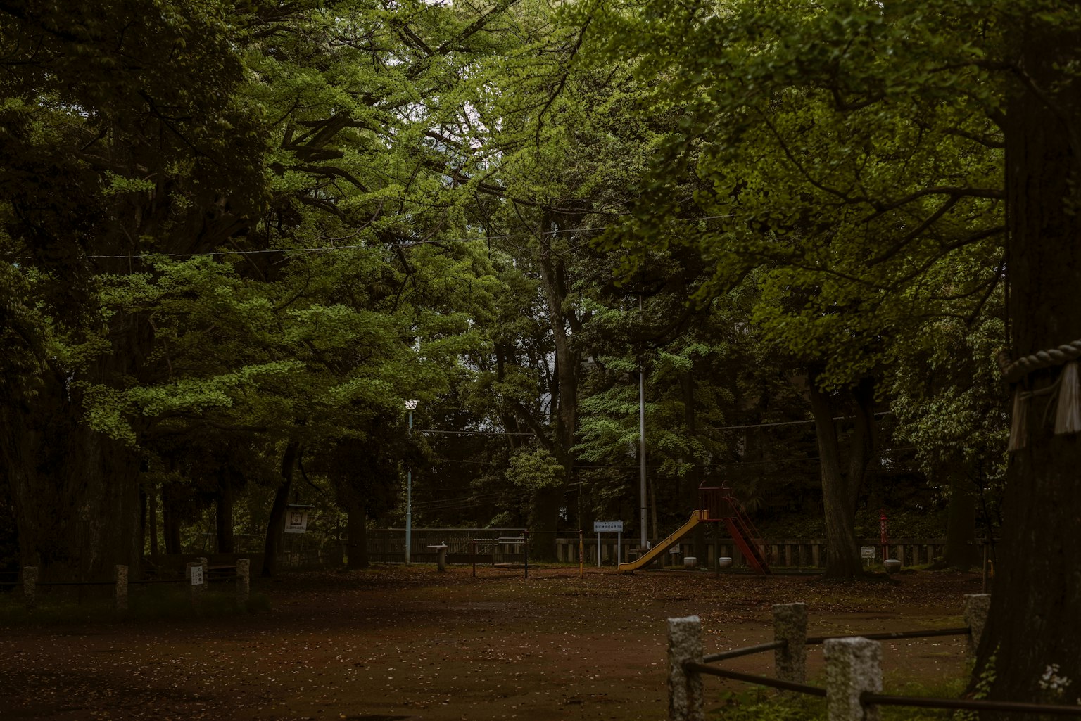 Lush green park scene with visible playground equipment in a tranquil setting