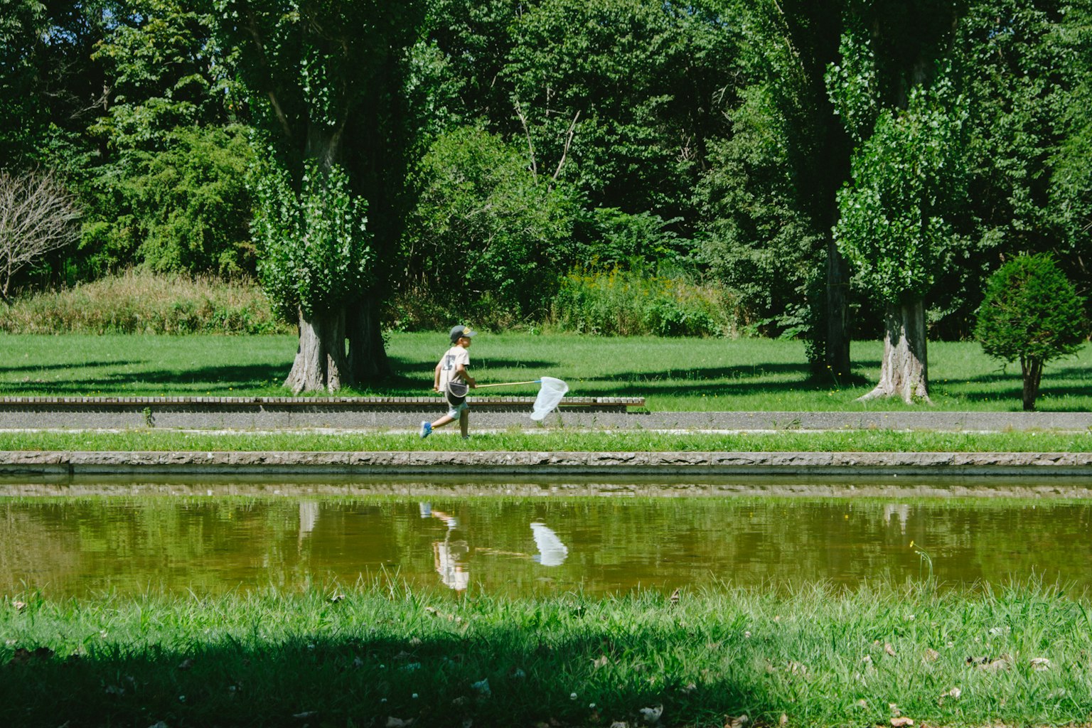 Una persona corriendo cerca de un estanque del parque con reflejos visibles en el agua y vegetación exuberante