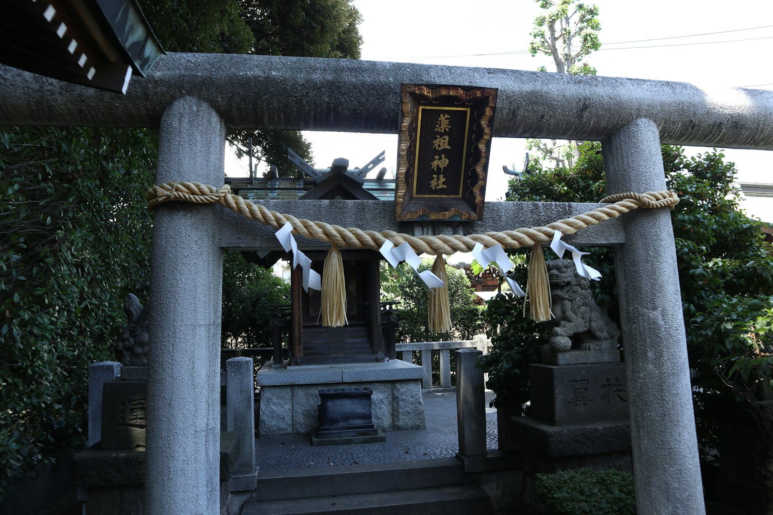 Scena di porta torii e santuario con una targa e shimenawa visibili