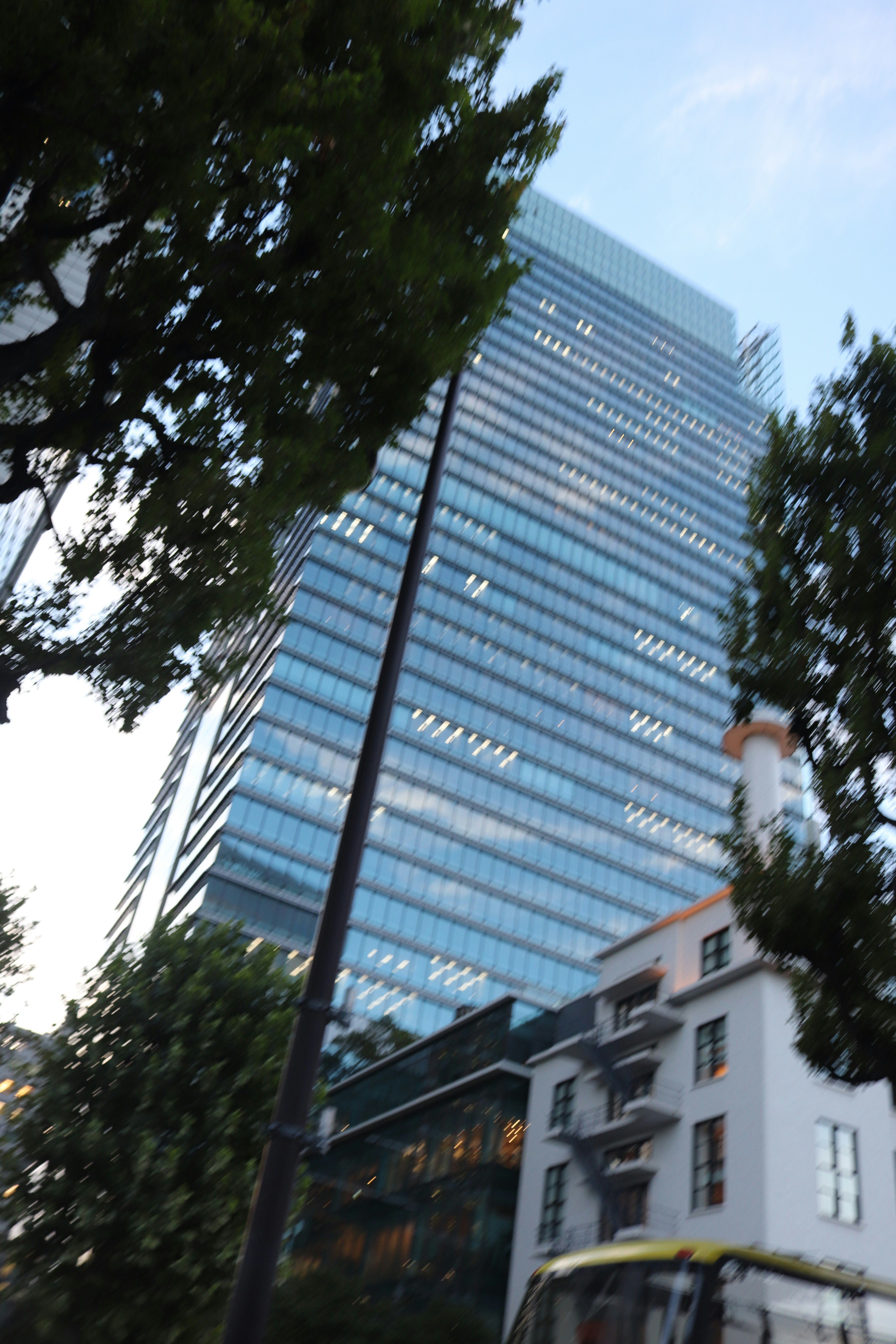 树影间仰望高层办公楼