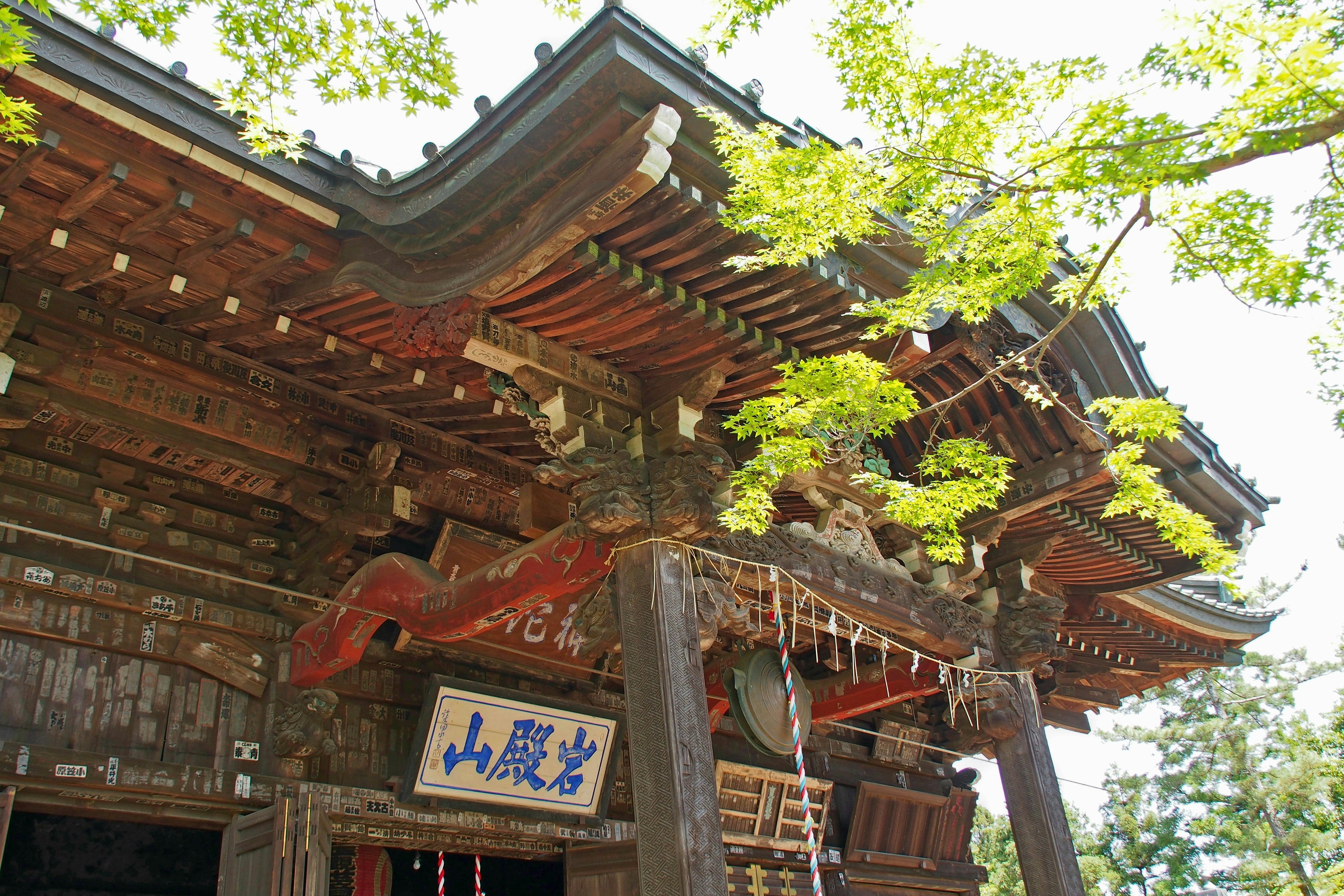 portail de temple vermillon entouré d’arbres