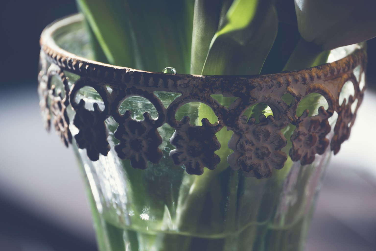 Bordo metallico decorativo su un vaso con foglie verdi visibili