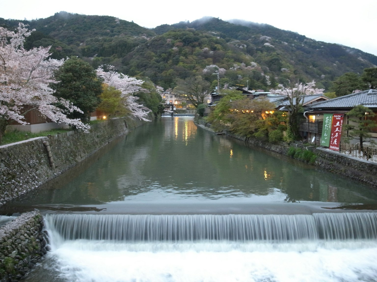 Pemandangan indah pohon sakura di sepanjang sungai tenang dengan pegunungan dan rumah-rumah