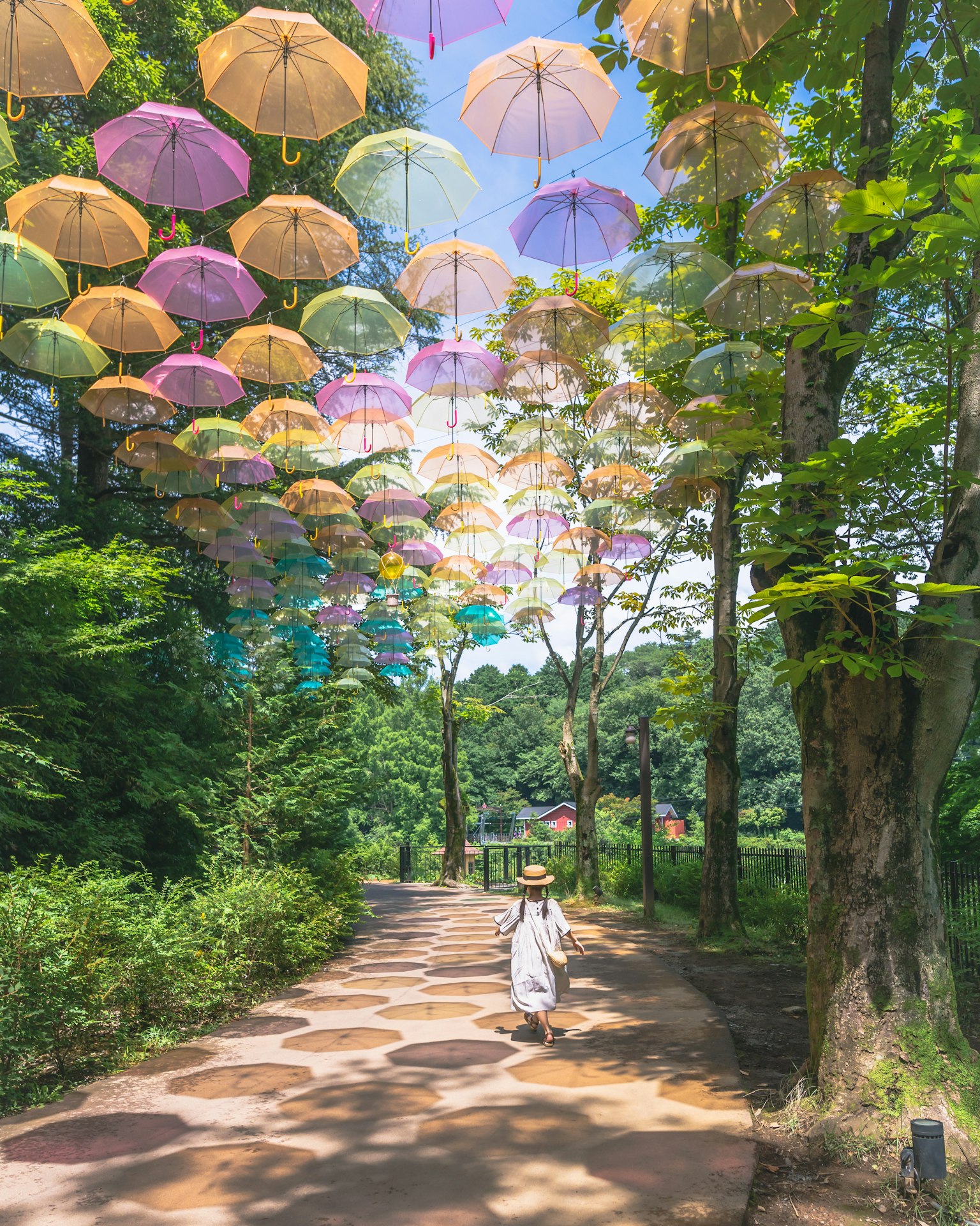 Una persona che cammina su un sentiero forestale con ombrelli colorati appesi sopra