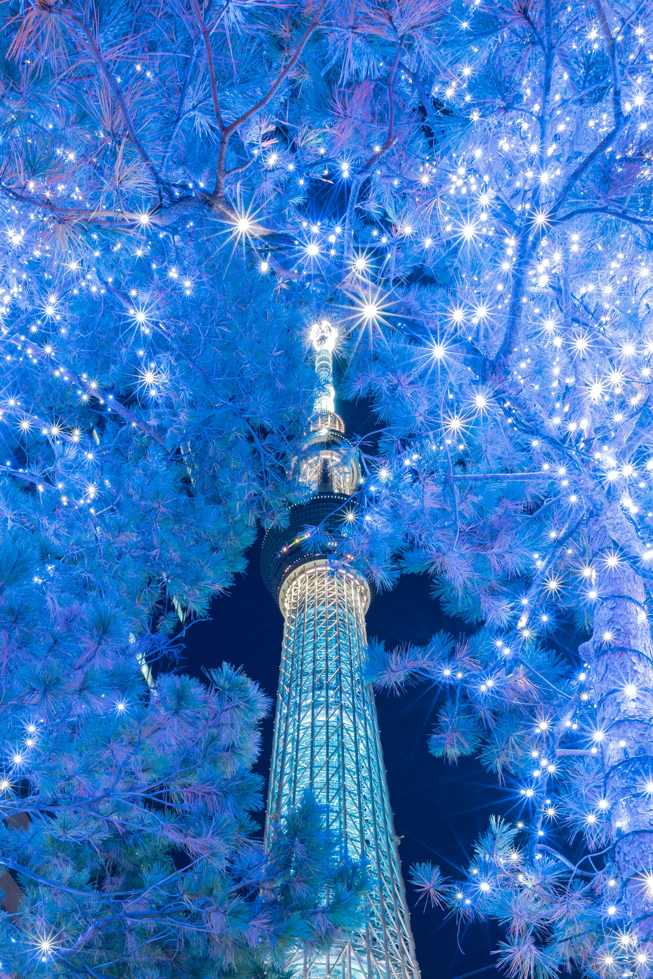 東京晴空塔夜景，被藍色燈光環繞