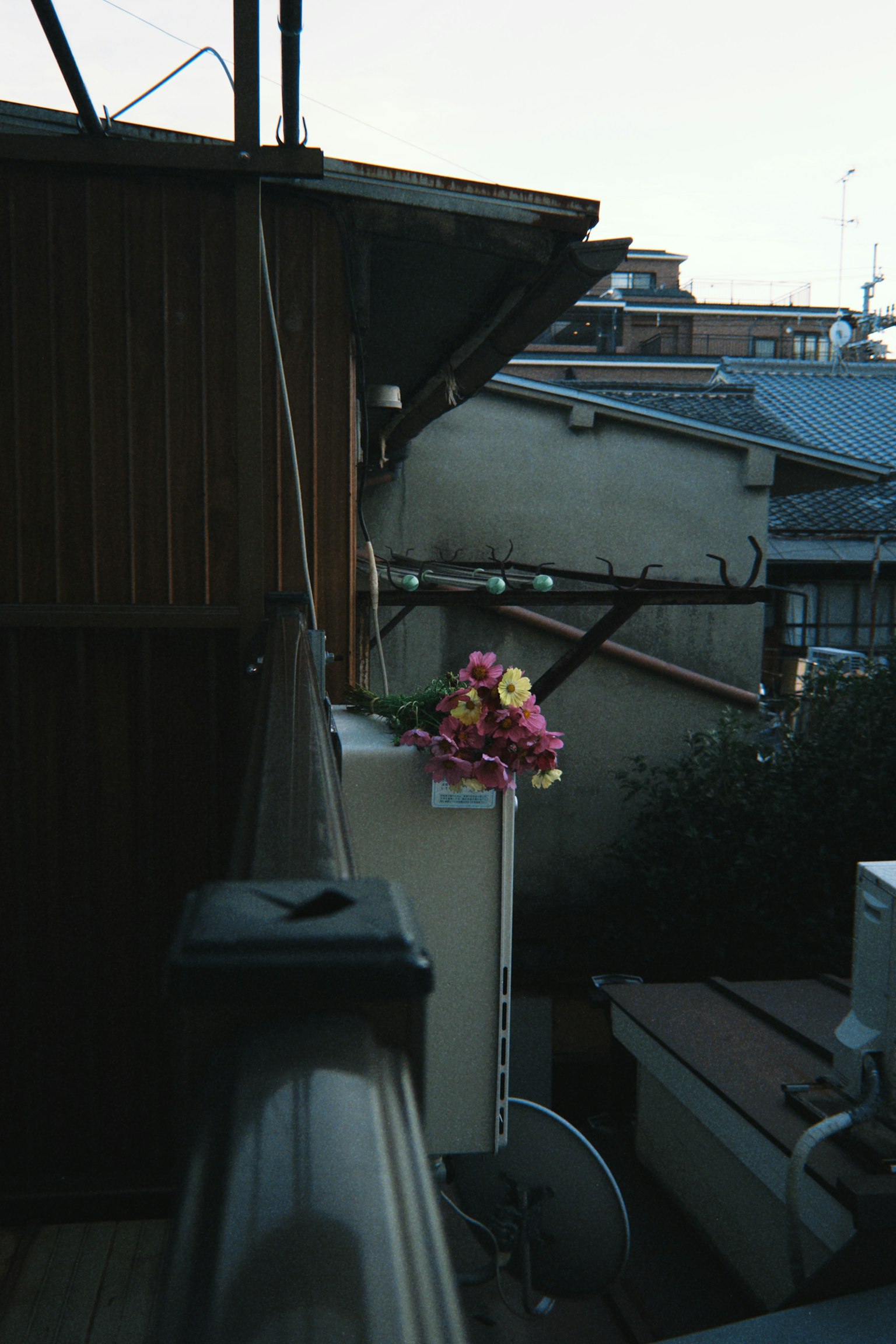 Vaso di fiori posizionato su un balcone tra vecchi edifici