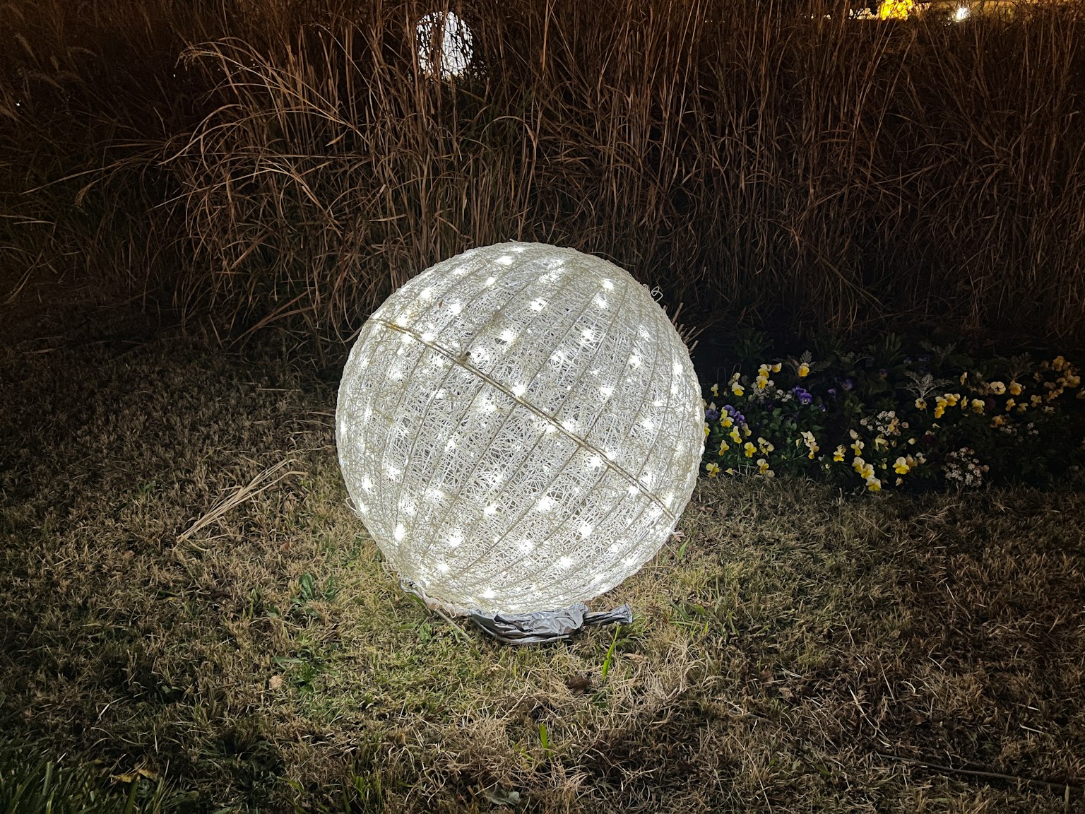 A white light globe in a garden at night with grass