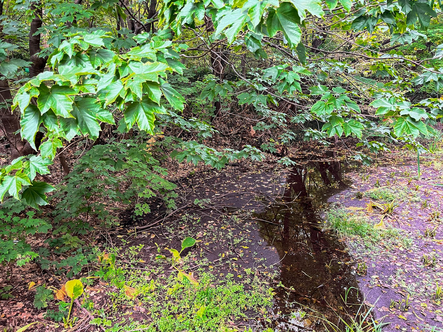 photo-z3tMelvK1D3uEKBihuEy-image