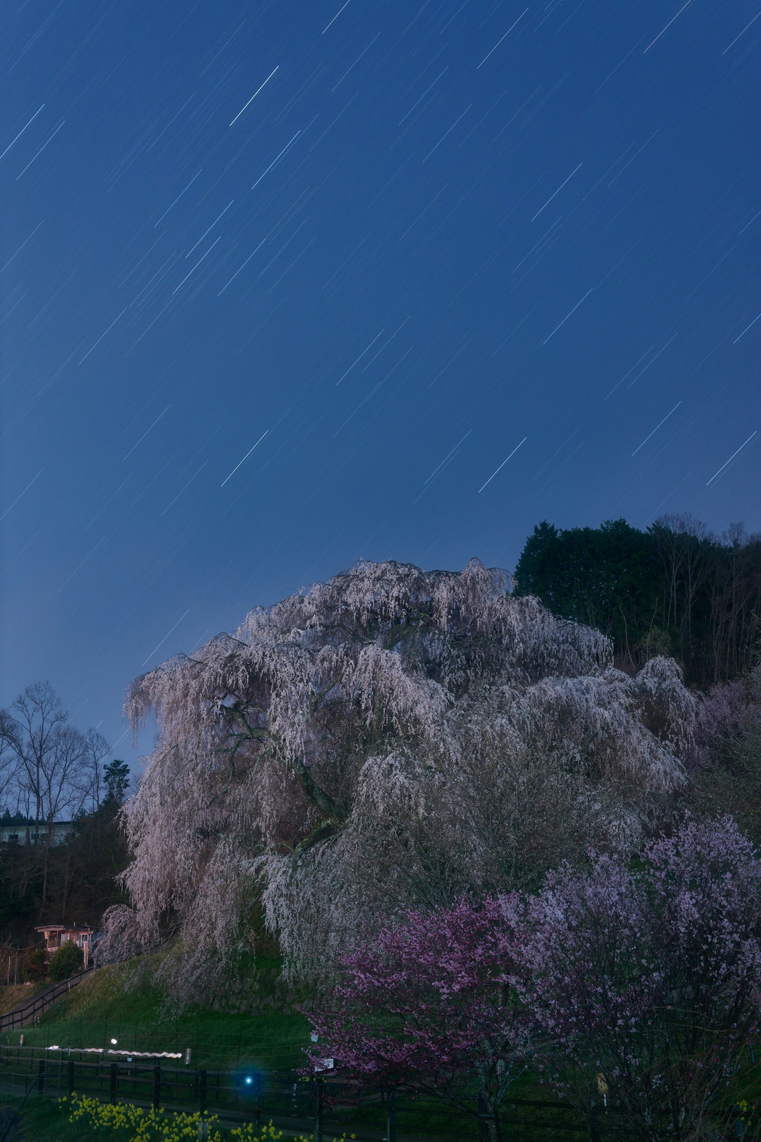 photo-z3wAqi55tL1n95aXuAYl-image