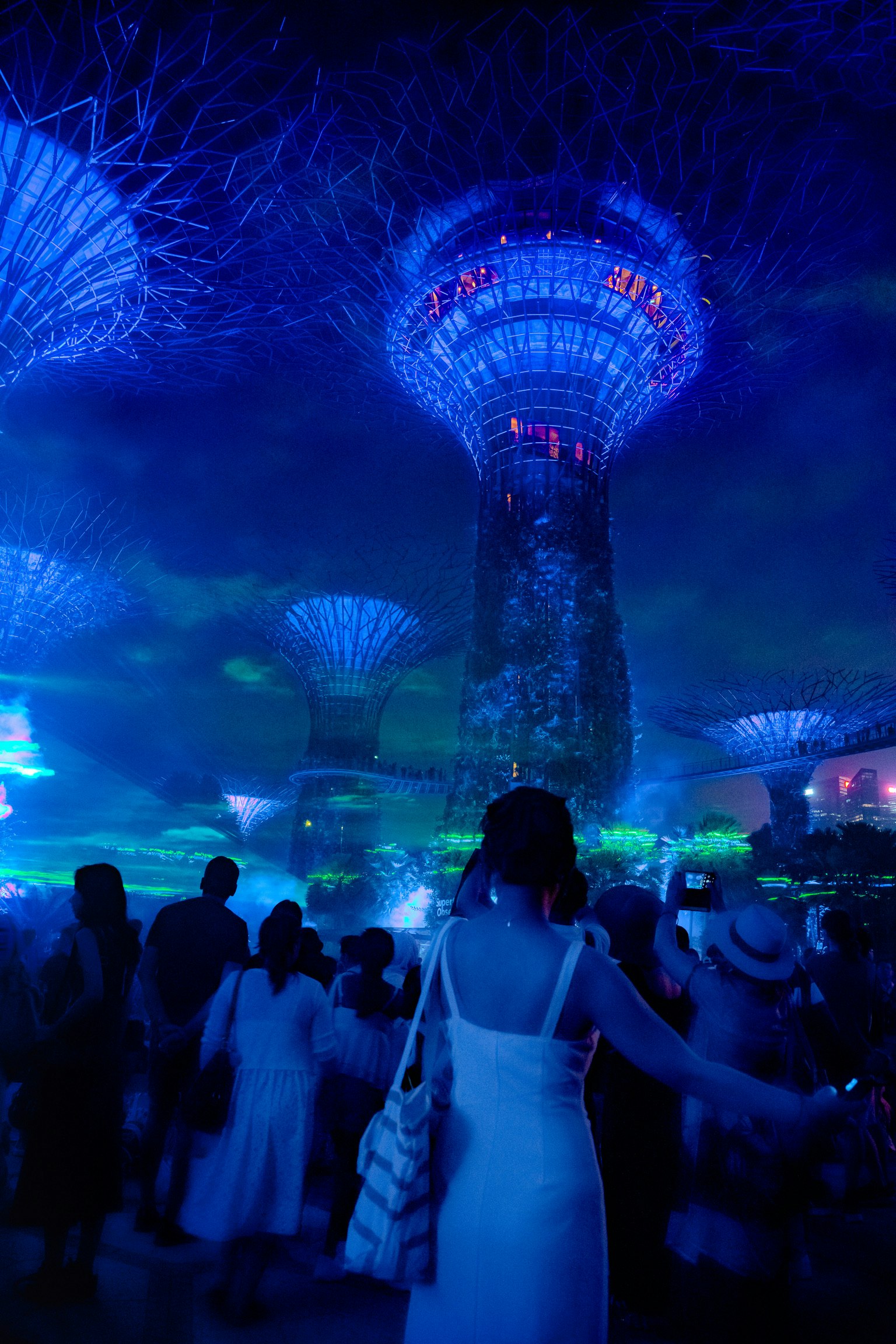nachts beleuchtete Kuppeln in Gardens by the Bay mit Besuchern