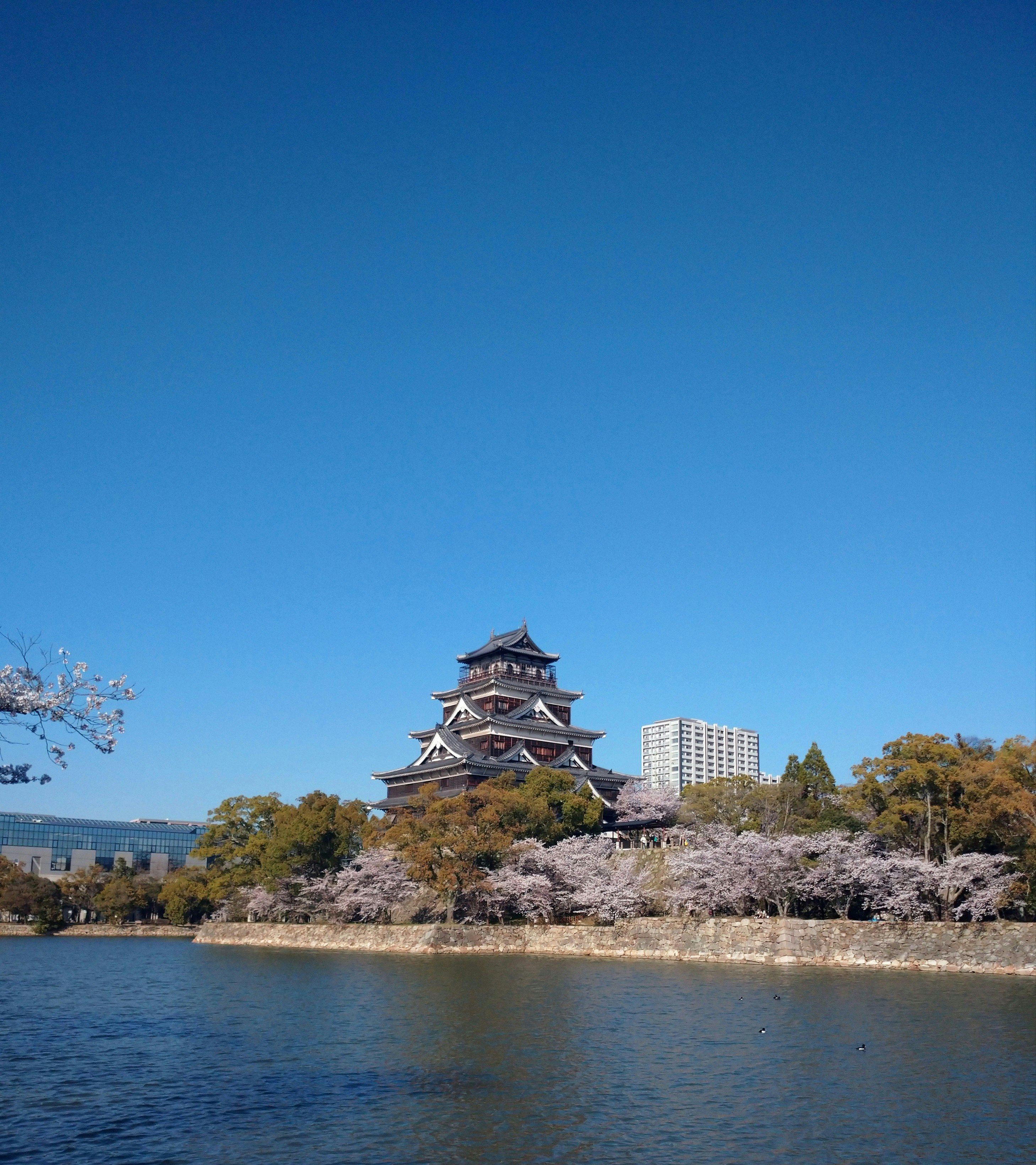城と桜が映る川沿いの風景