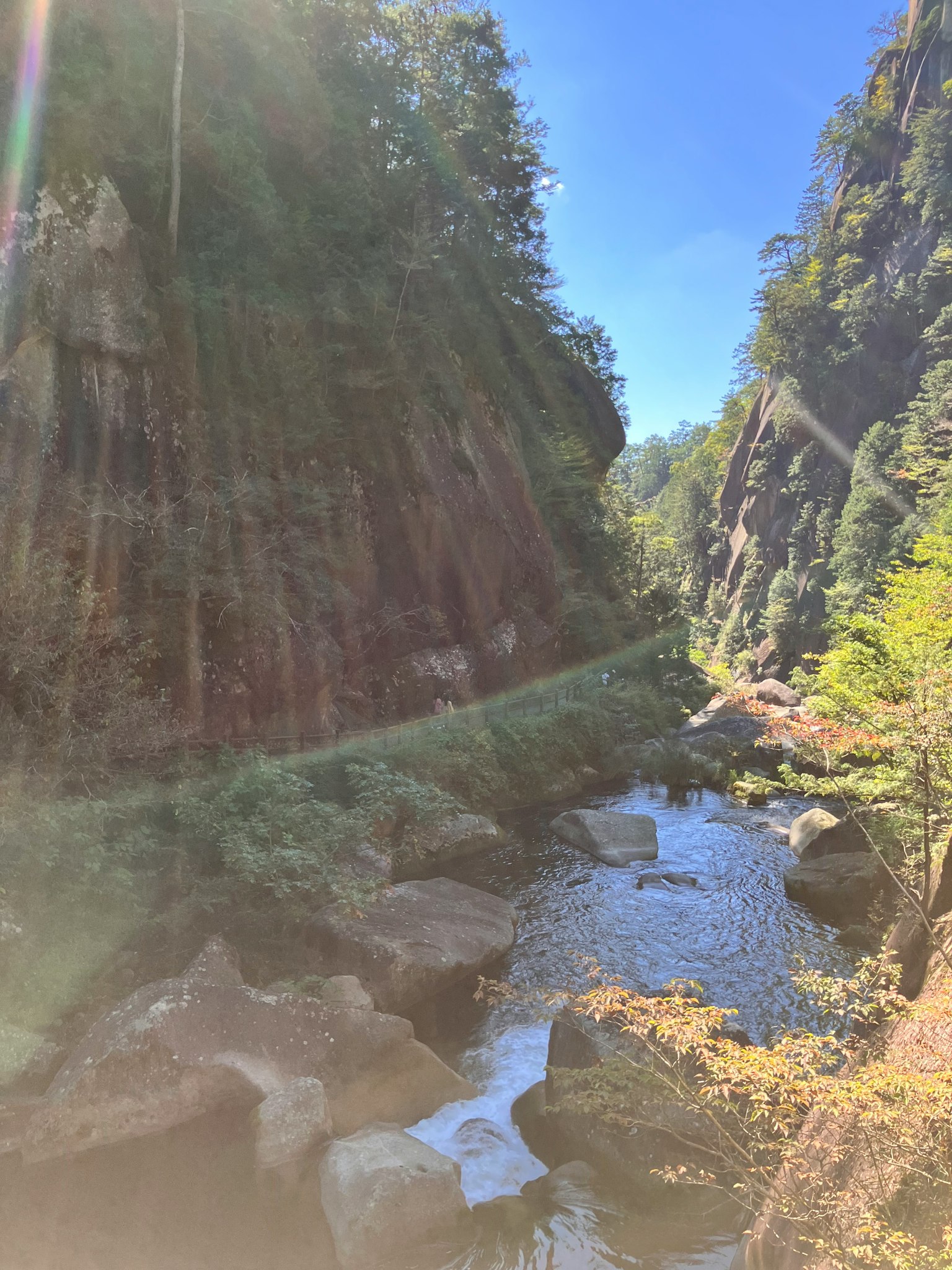 Üppiges Tal mit einem fließenden Bach Sonnenlicht, das durchscheint