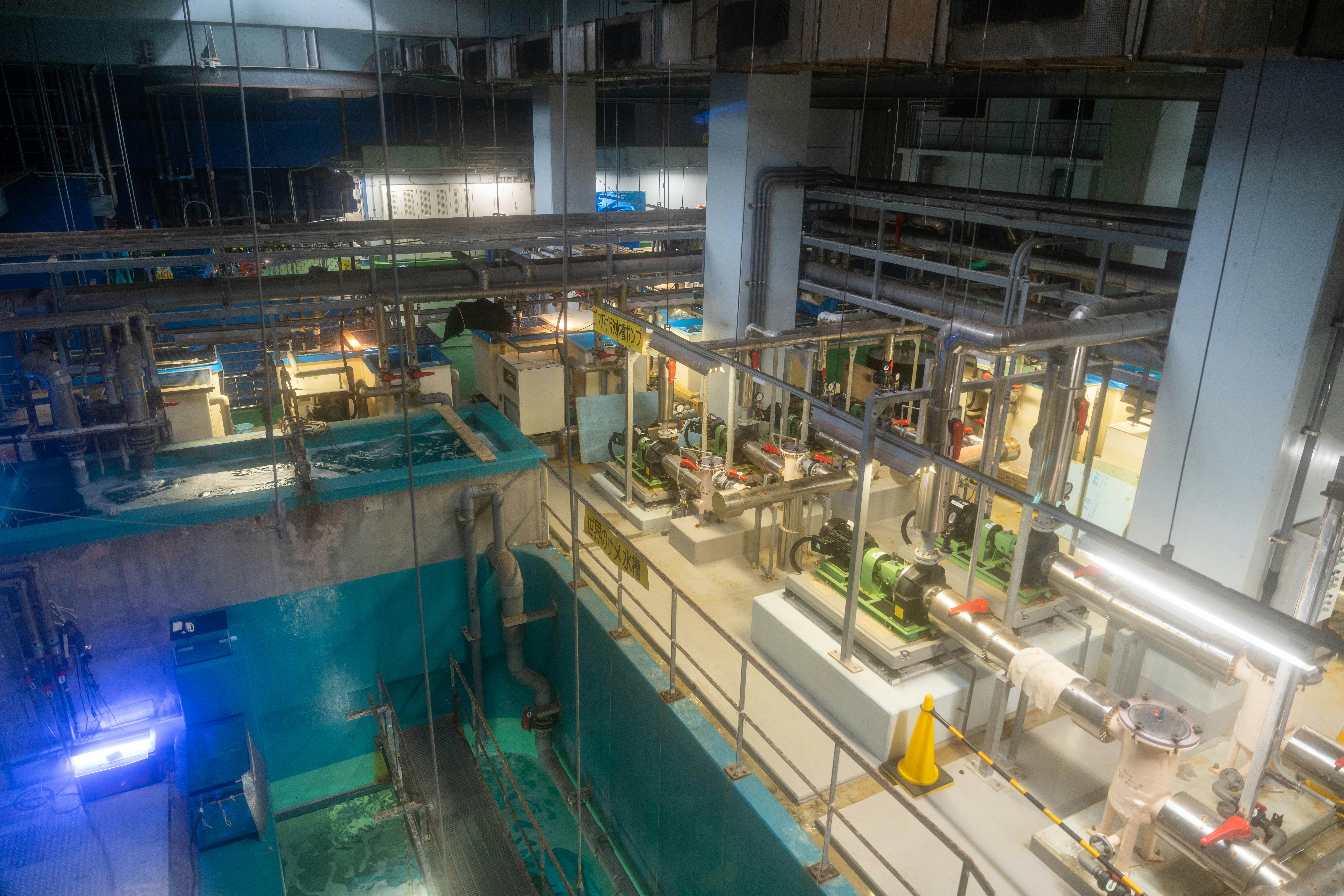 Interior view of a factory showcasing machinery and piping network