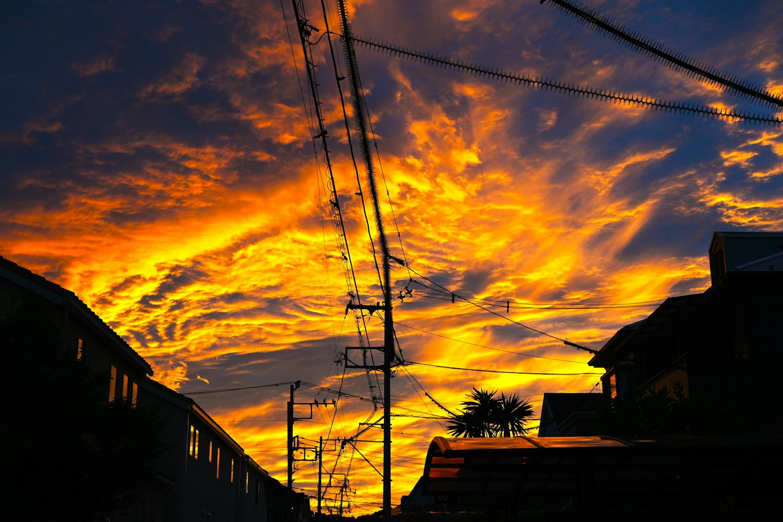 Bầu trời hoàng hôn tuyệt đẹp với đám mây cam và vàng rực rỡ tạo thành bóng silhouette của các tòa nhà