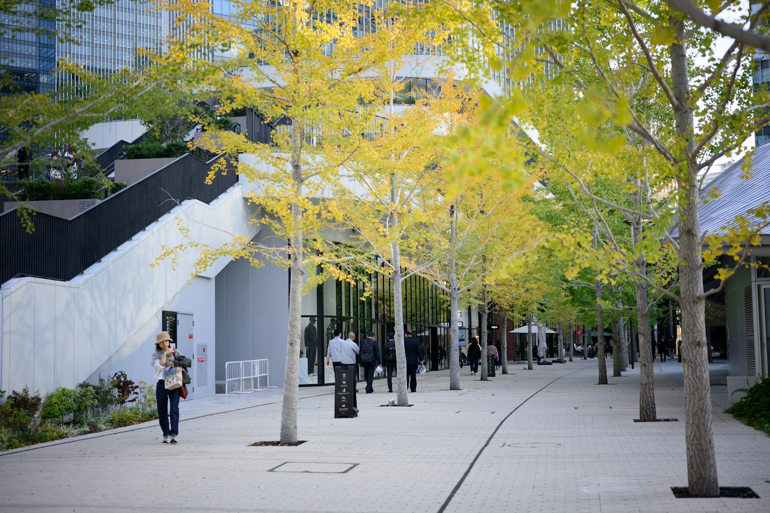 黄色い葉の木々が並ぶ歩道に人々が歩いている風景