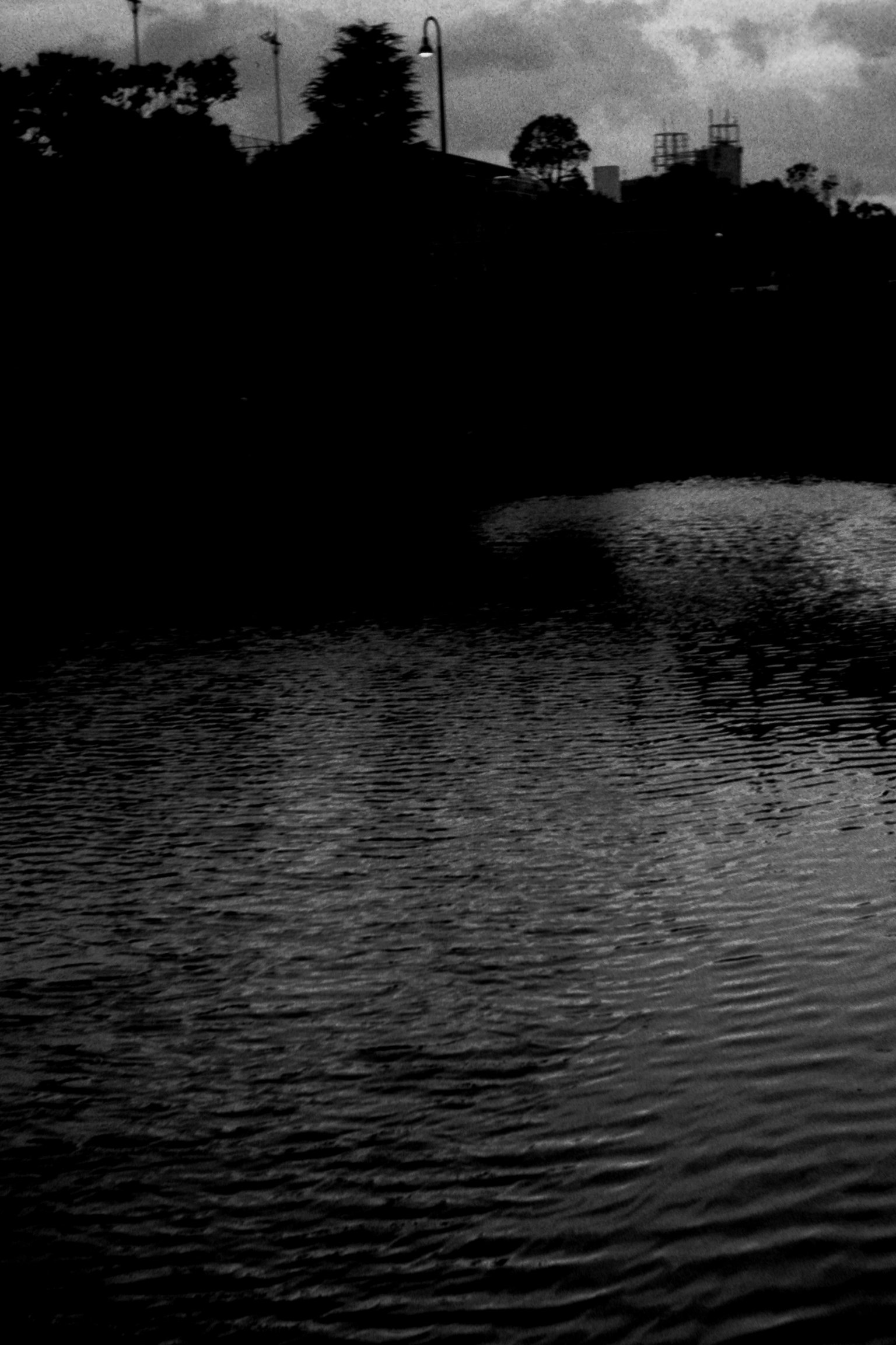 Superficie d'acqua scura con paesaggio ombreggiato