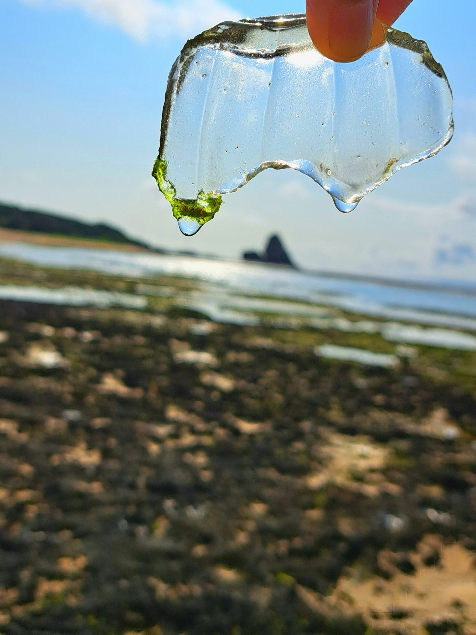 手握著透明玻璃片，背景是海岸景觀