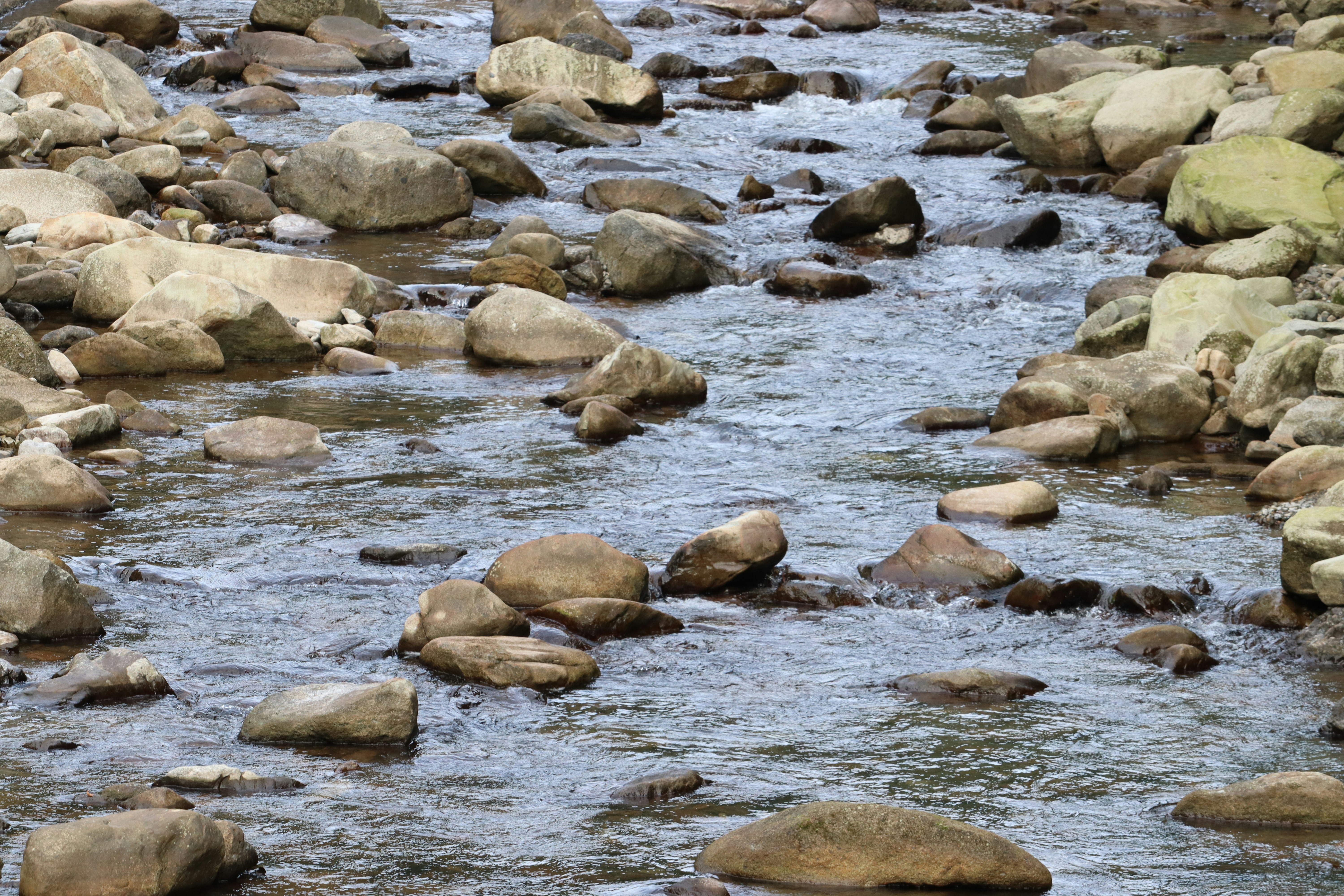 ruscello in movimento con pietre di fiume in un letto roccioso