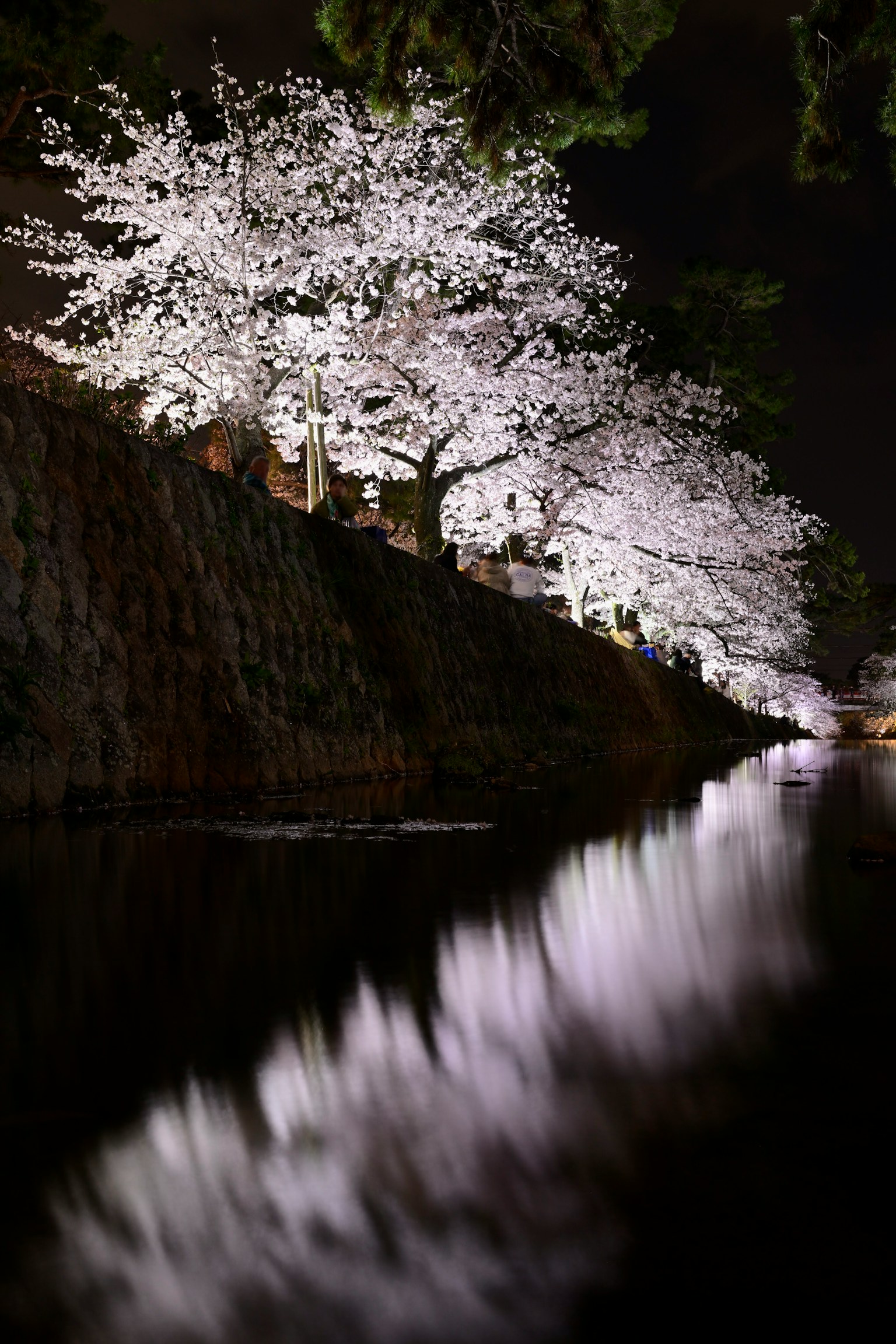 photo-z7R4UfEfpSW2h7kpuQga-image