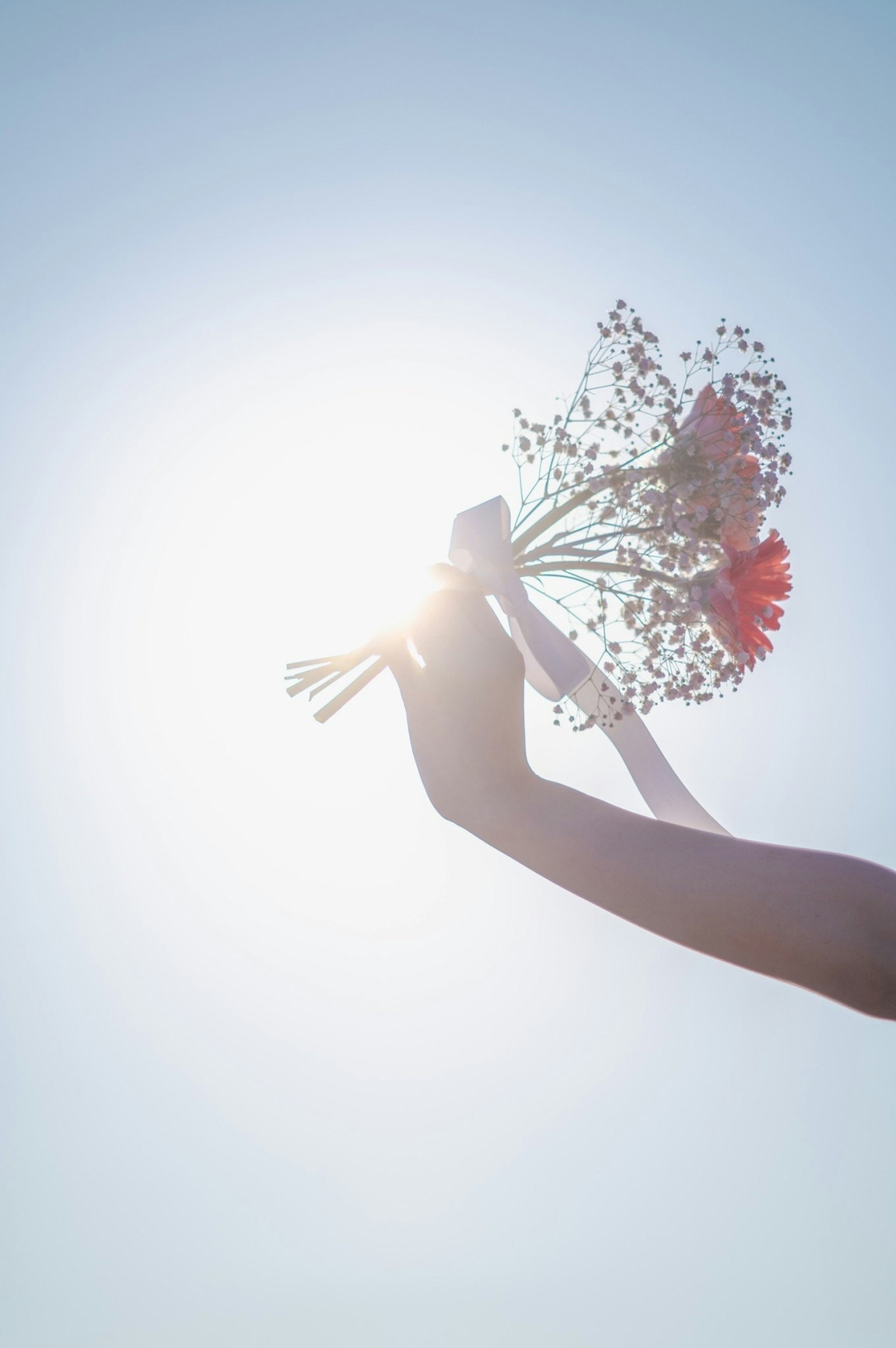 Una silhouette di una mano che tiene un mazzo di fiori contro la luce del sole
