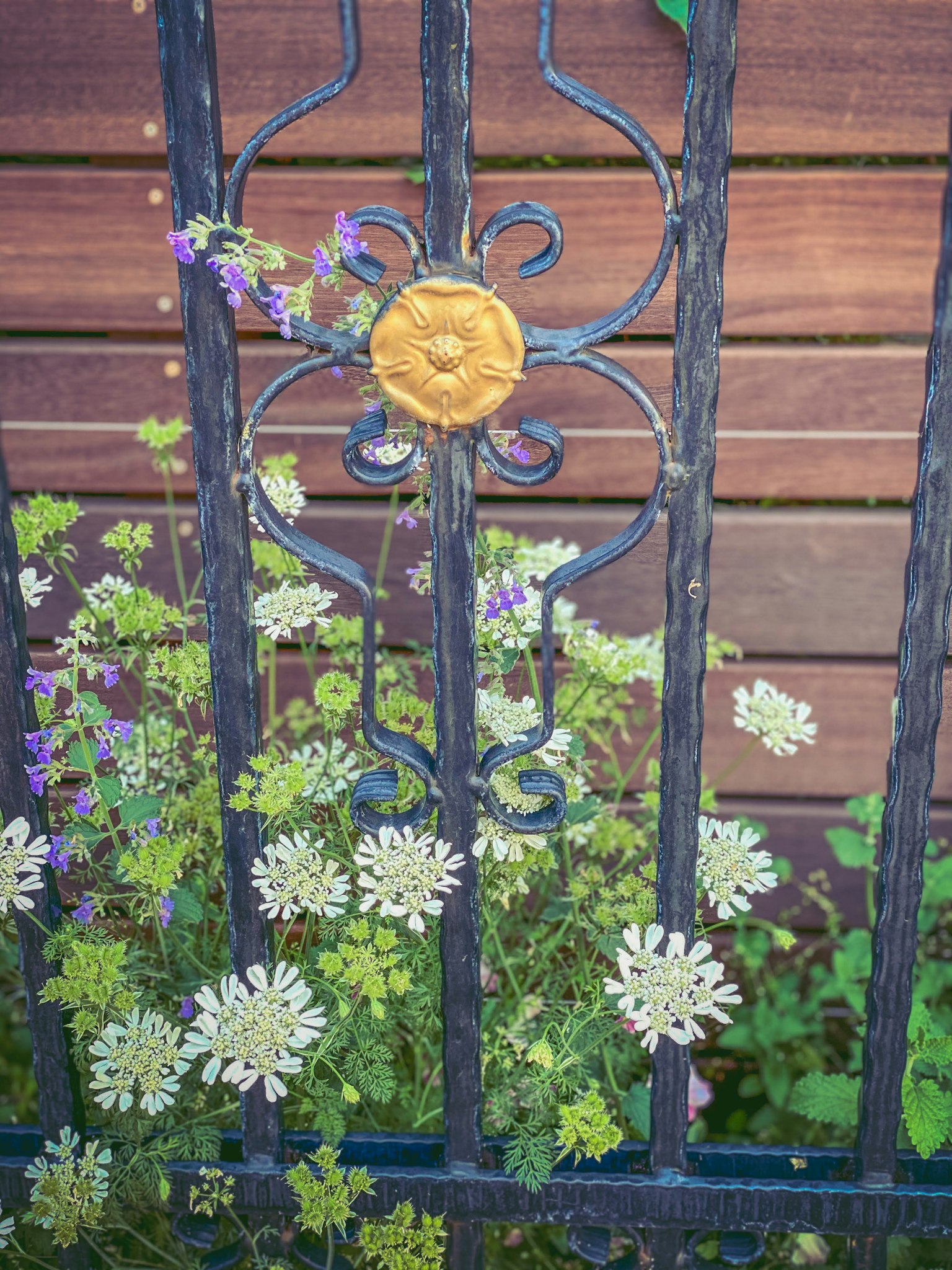 Clôture en fer avec motif de fleur dorée et fleurs colorées et plantes vertes