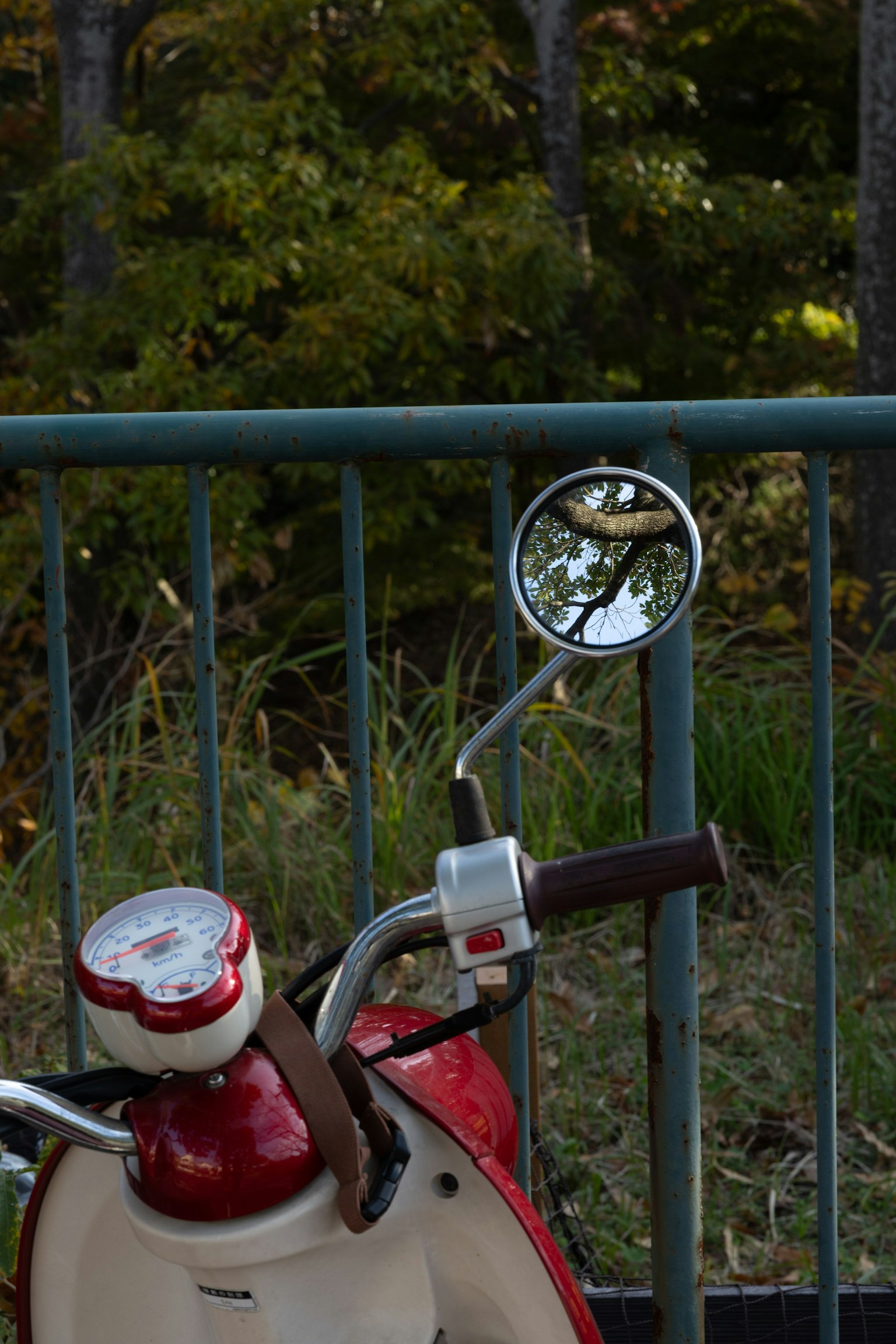 Red scooter handle with a mirror reflecting greenery