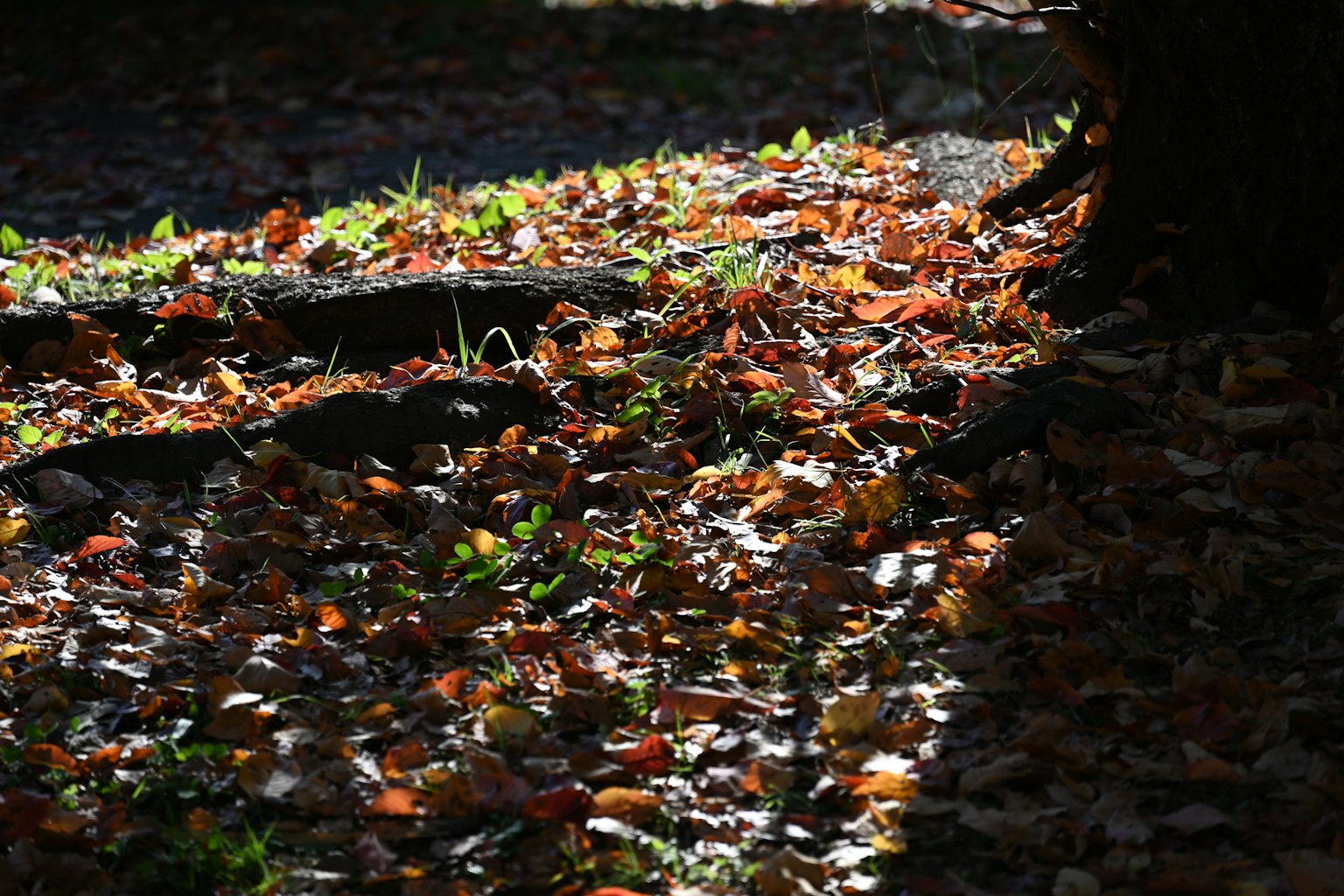photo-z8SHHA59J0nsk7jEUbQy-image