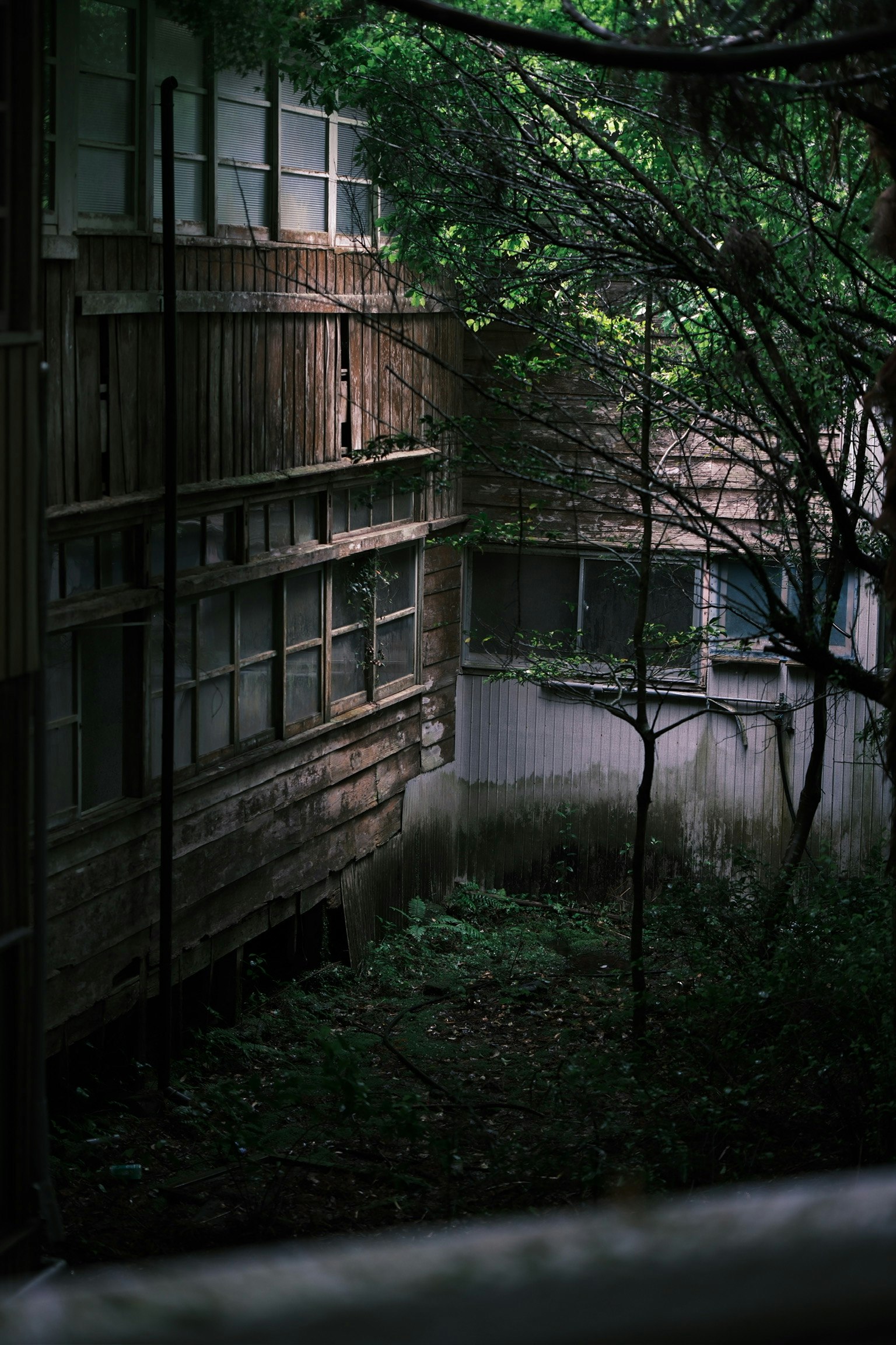 Vista exterior de un edificio abandonado cubierto de vegetación