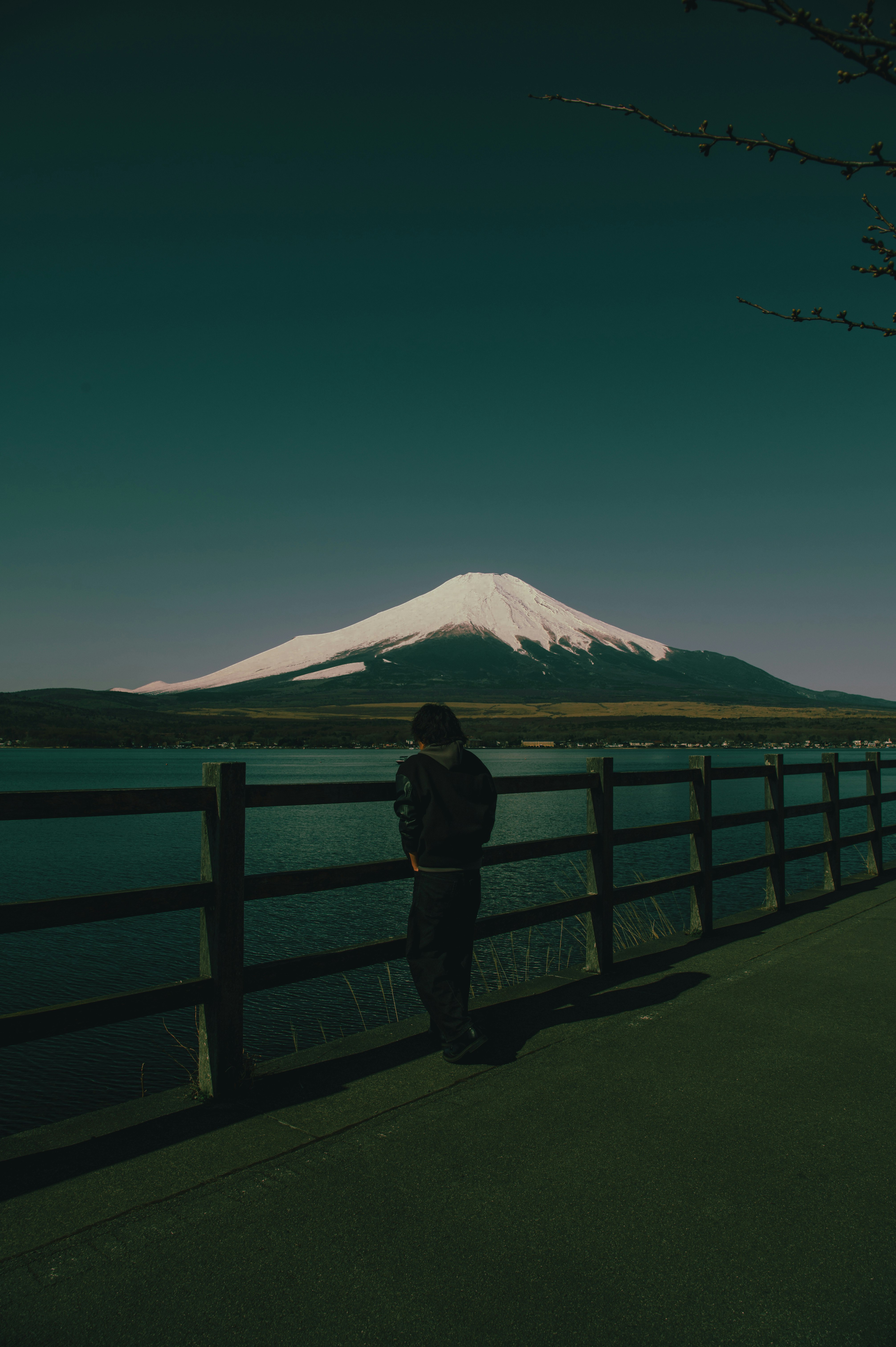 富士山を望む湖畔のフェンスと散歩する人のスナップ