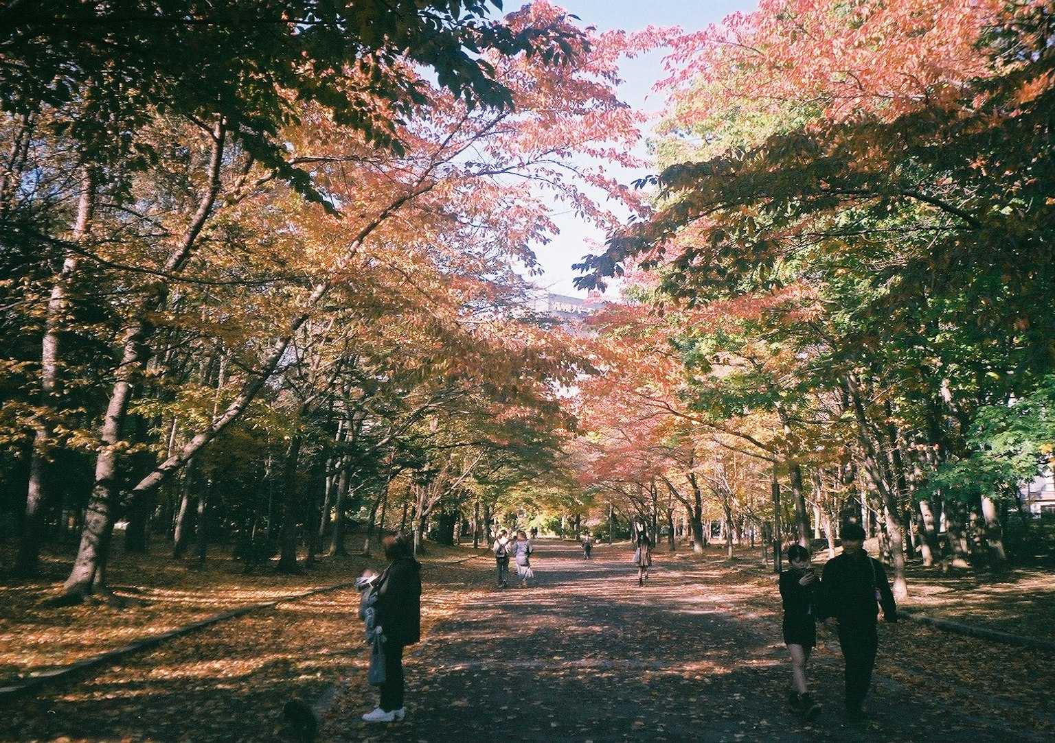 Sentier pittoresque avec des personnes marchant sous des arbres aux couleurs d'automne