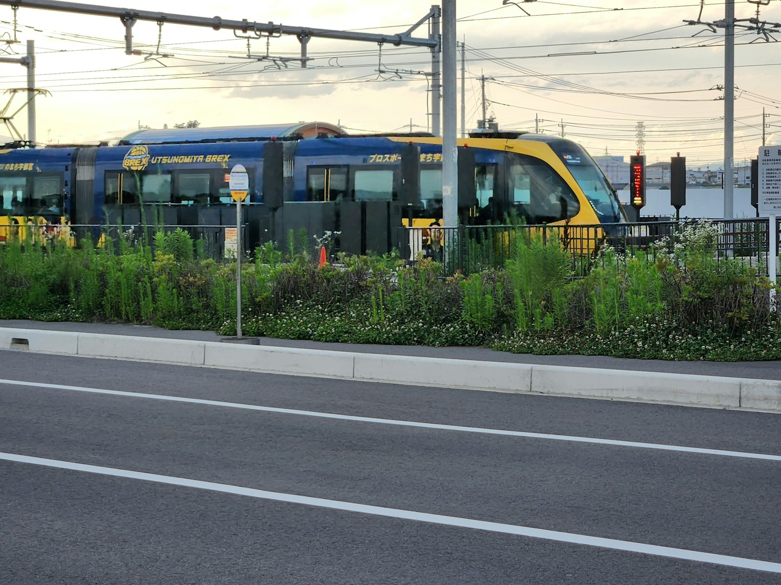 Ein blauer und gelber Zug in der Nähe der Gleise mit Grünflächen und Ampeln