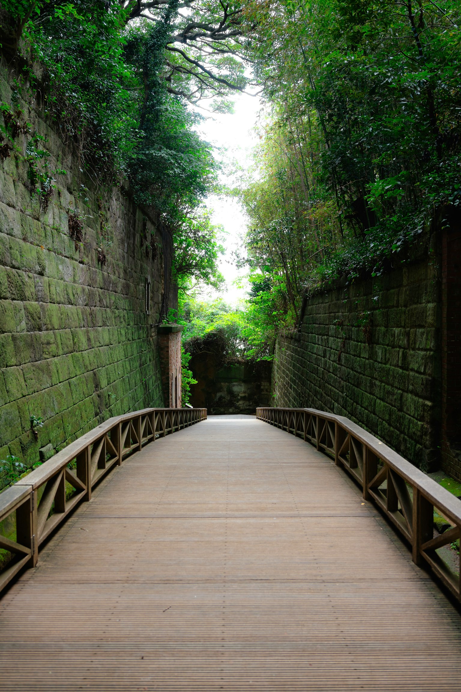 Un pont en bois menant à un chemin serein entouré de verdure