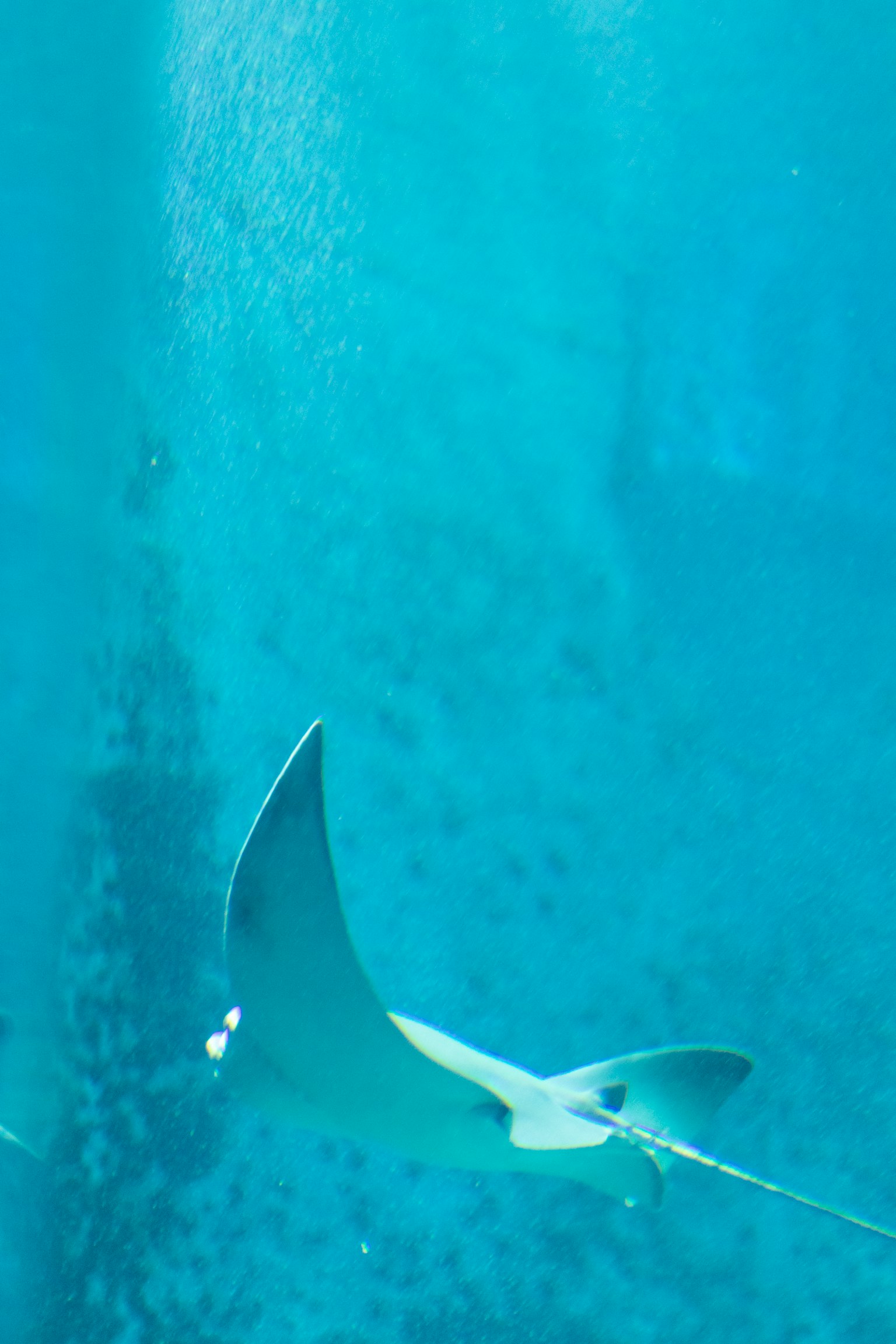 photo-z9s8HIxbcuE4fZE1Slj4-image