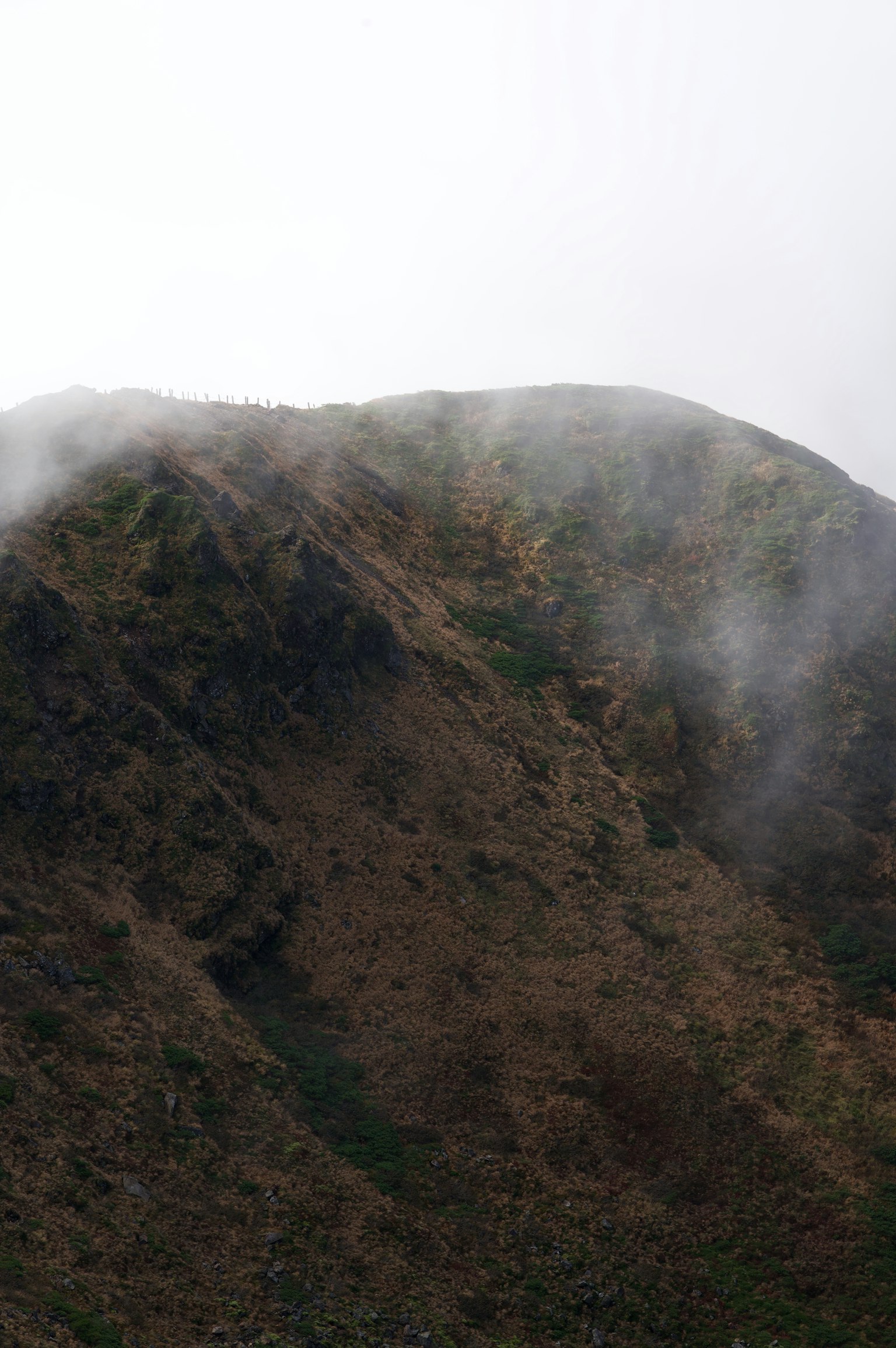 Pendio di montagna nebbioso con nebbia e tonalità terrose