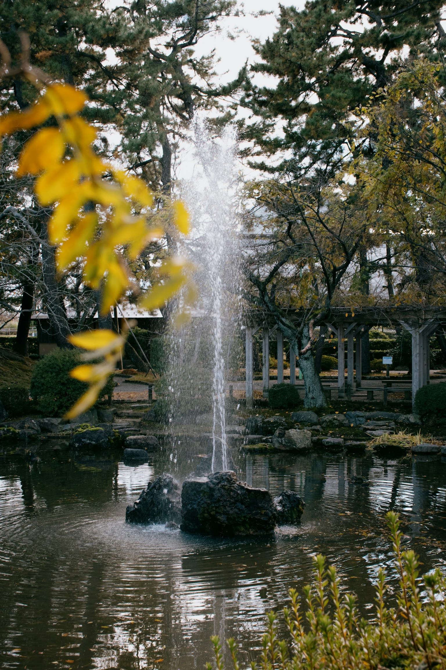 池塘中的噴泉，周圍是樹木和秋天的樹葉