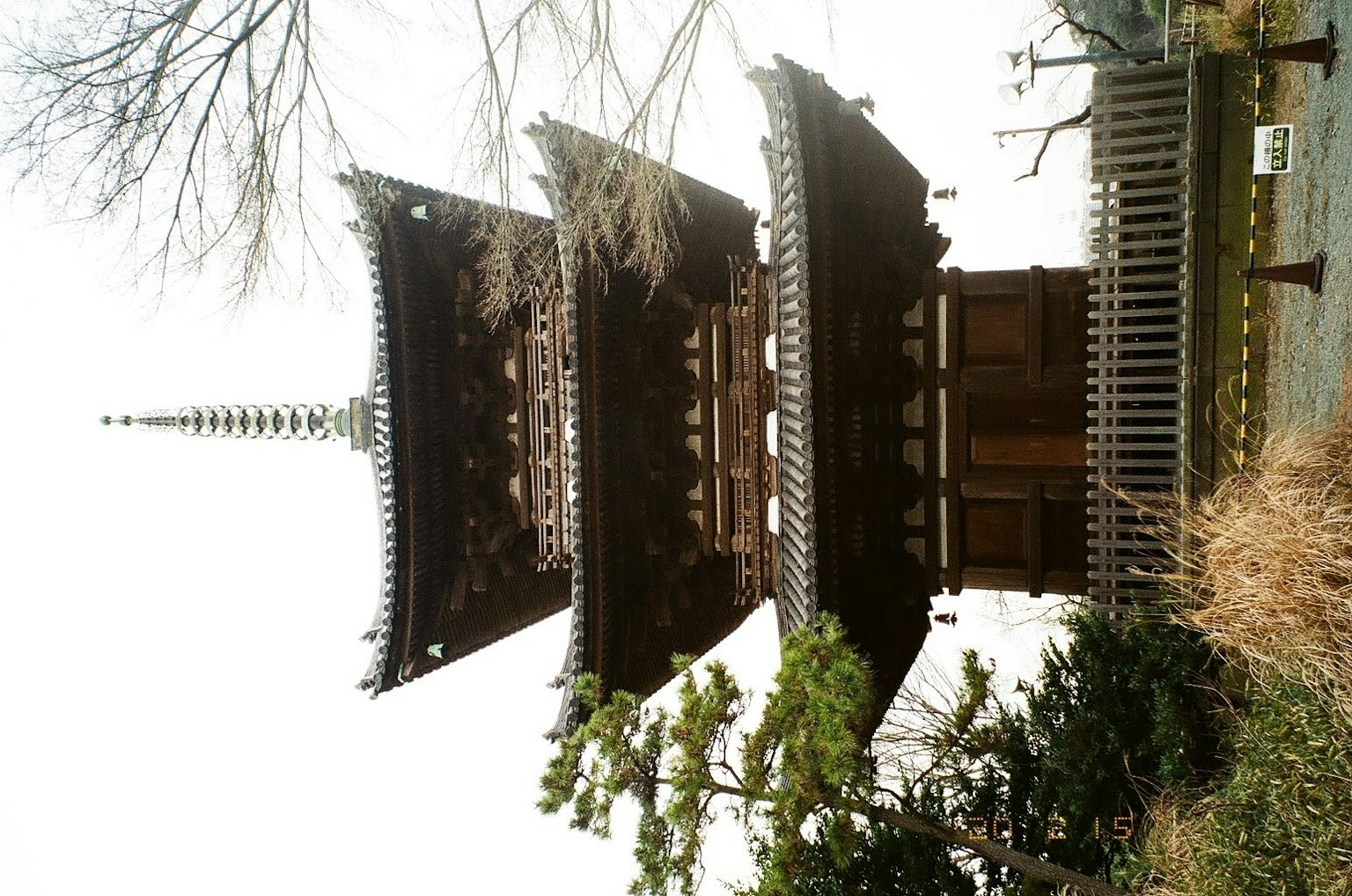 Pagoda giapponese tradizionale con design intricato e vegetazione circostante