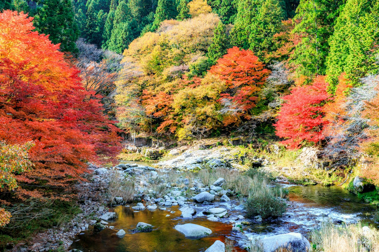 Malersiche Ansicht von Herbstlaub mit leuchtend roten und orangefarbenen Bäumen entlang eines Flusses