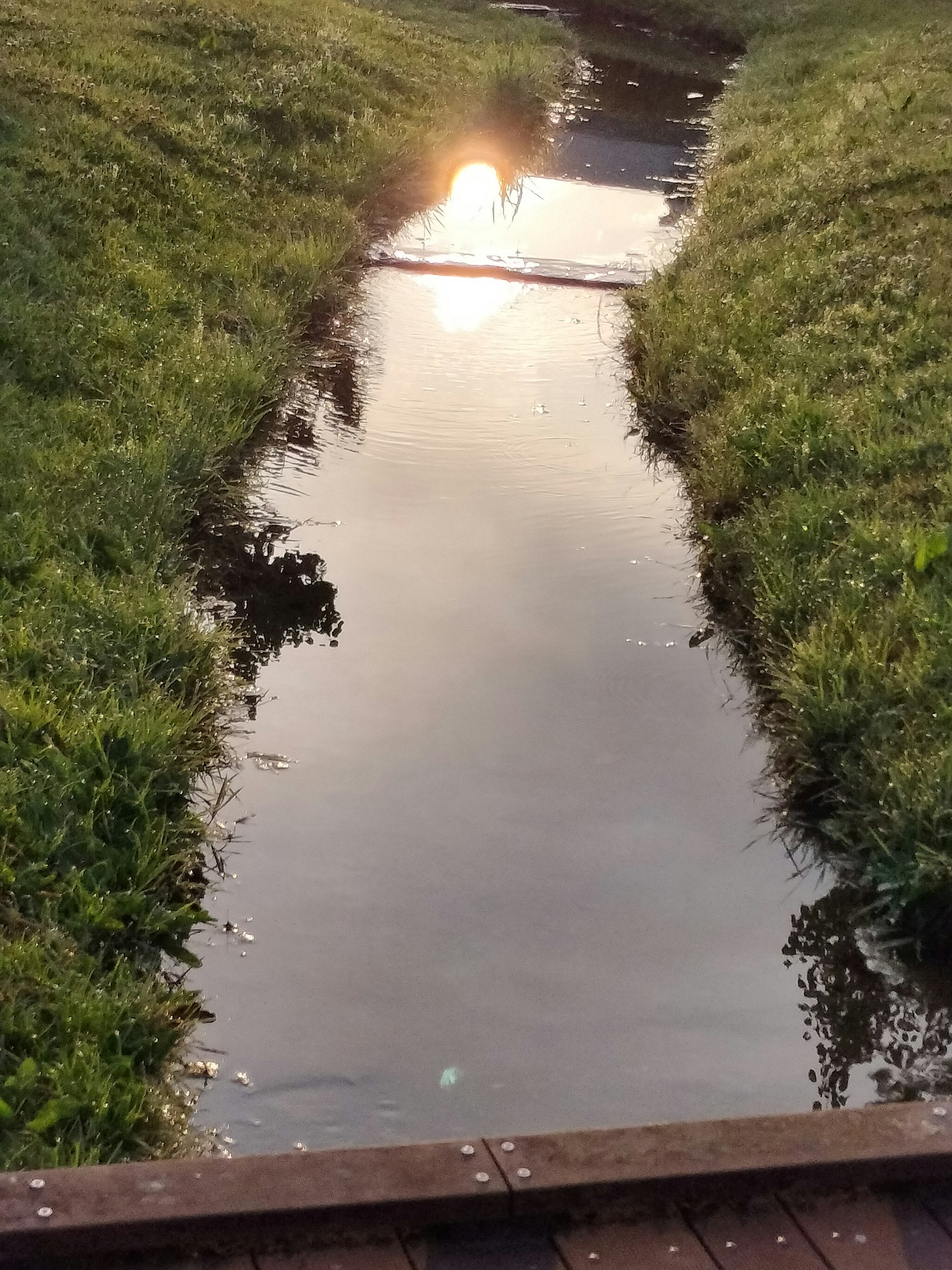 宁静的水道映照着夕阳和绿色草坪