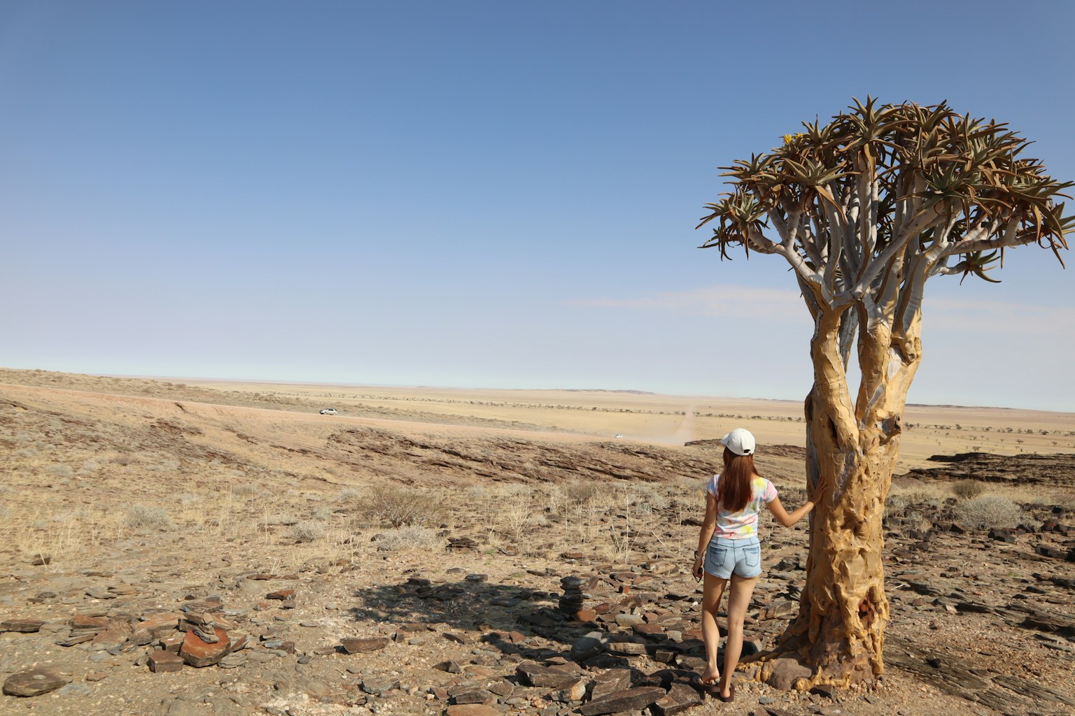 Eine Frau steht neben einem Köcherbaum in einer trockenen Landschaft