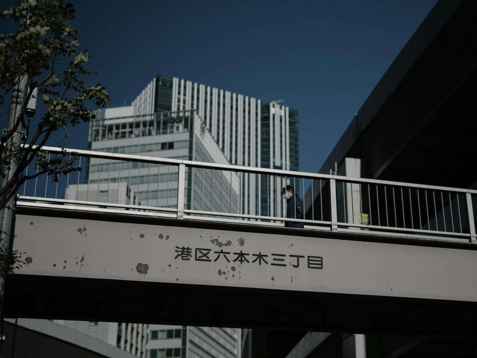 城市景观,特色高楼和人行天桥