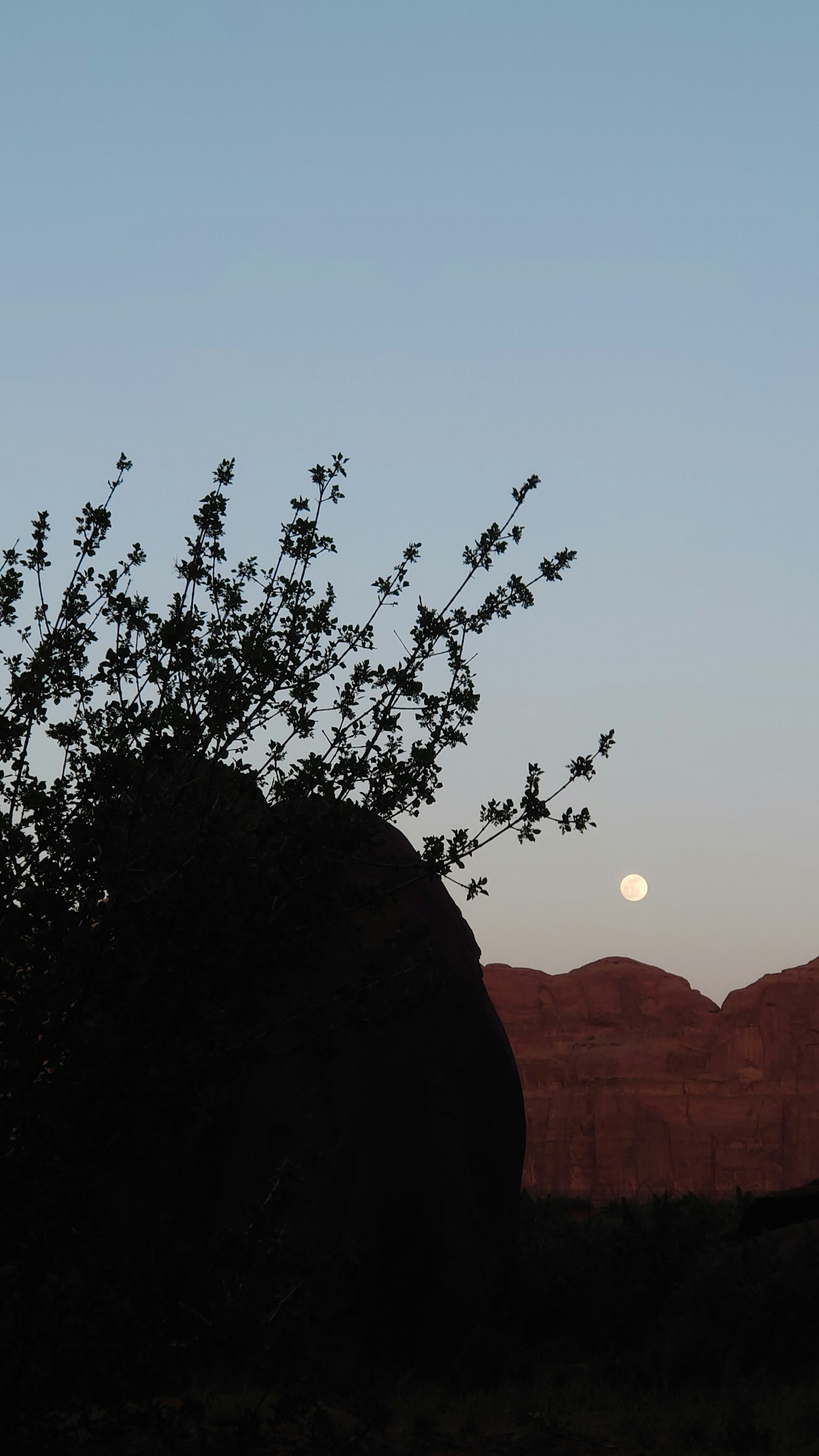 Siluet gunung dan bulan saat senja dengan dedaunan