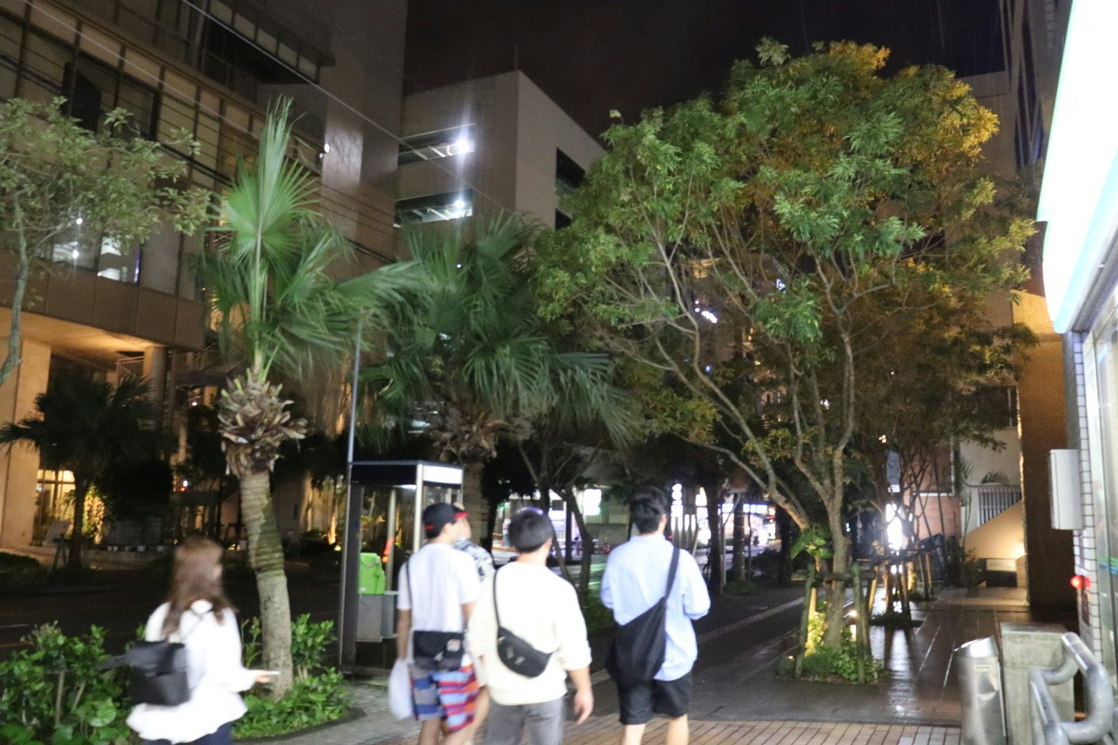 夜の街路樹と歩行者が行き交う国際通りの飲食街の帰路