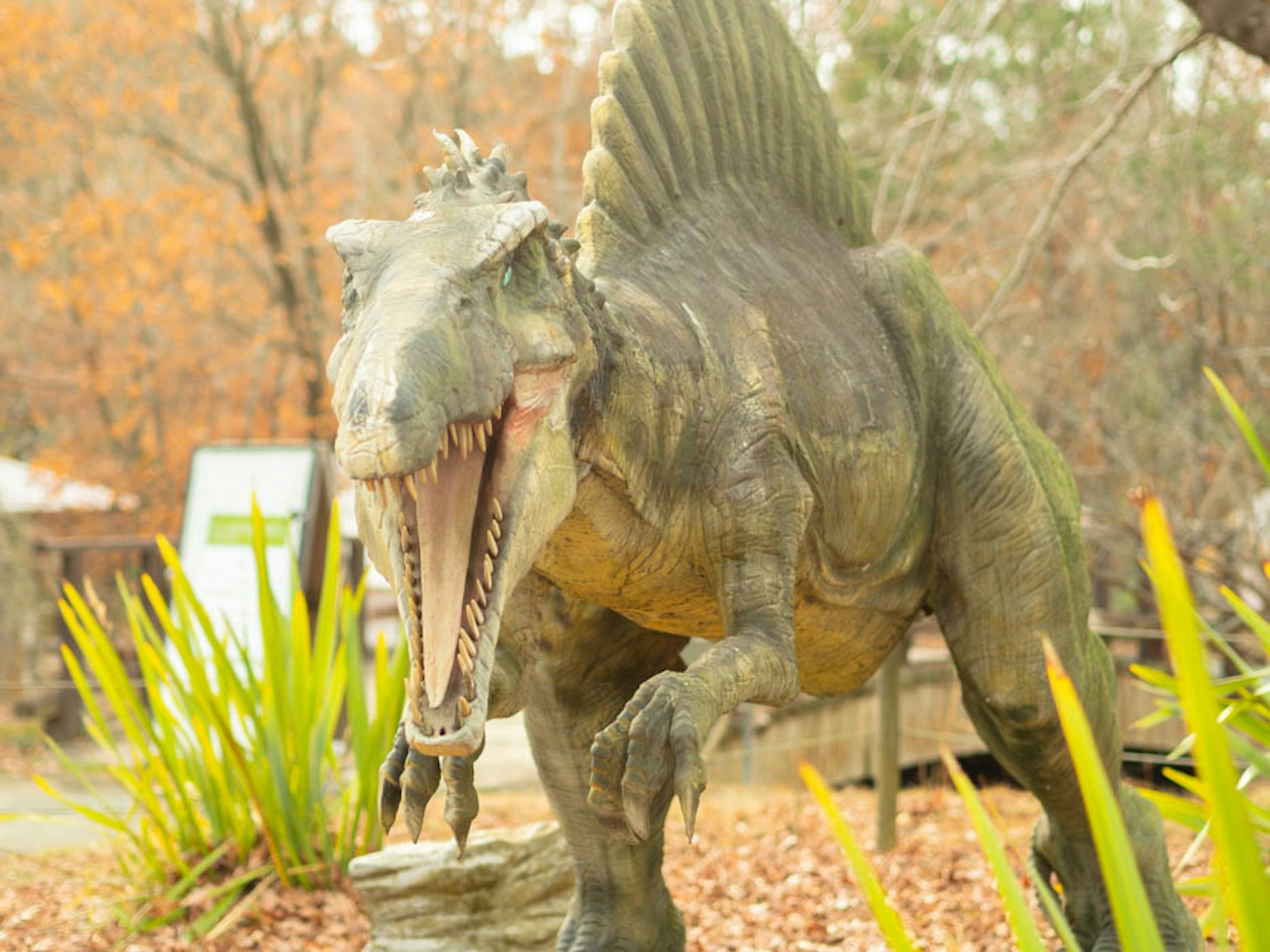 Mô hình Spinosaurus chân thực được bao quanh bởi cây cối trong công viên