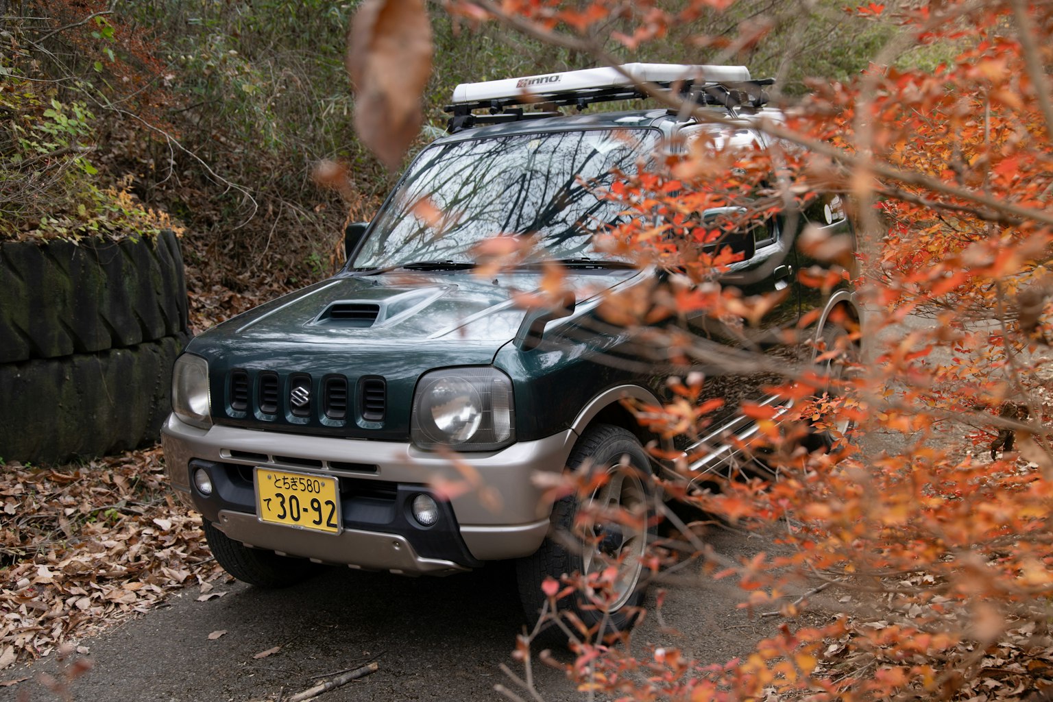 photo-zCLfG6bh8VwtwT55BkLE-image