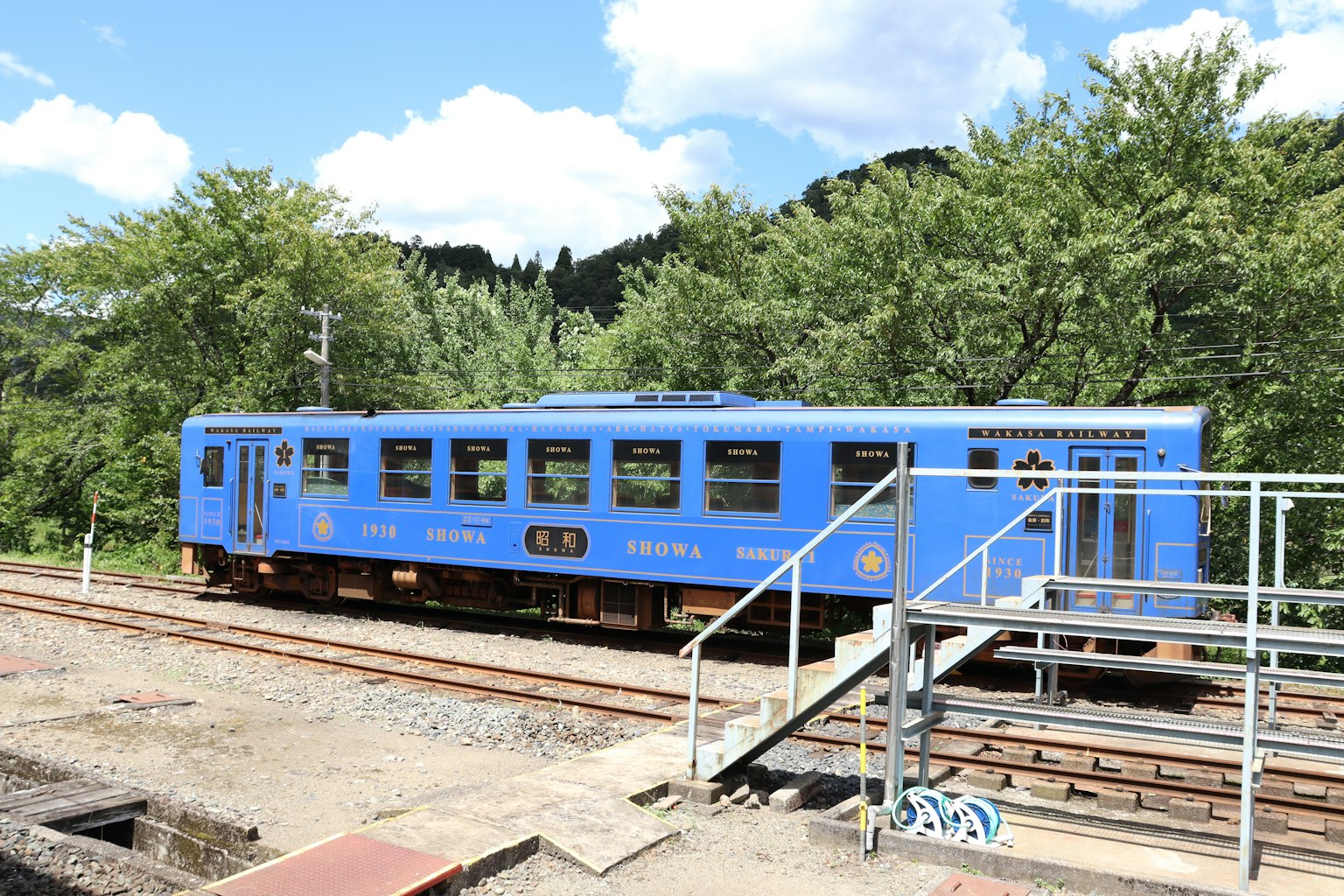 Treno blu in stazione circondato da alberi verdi