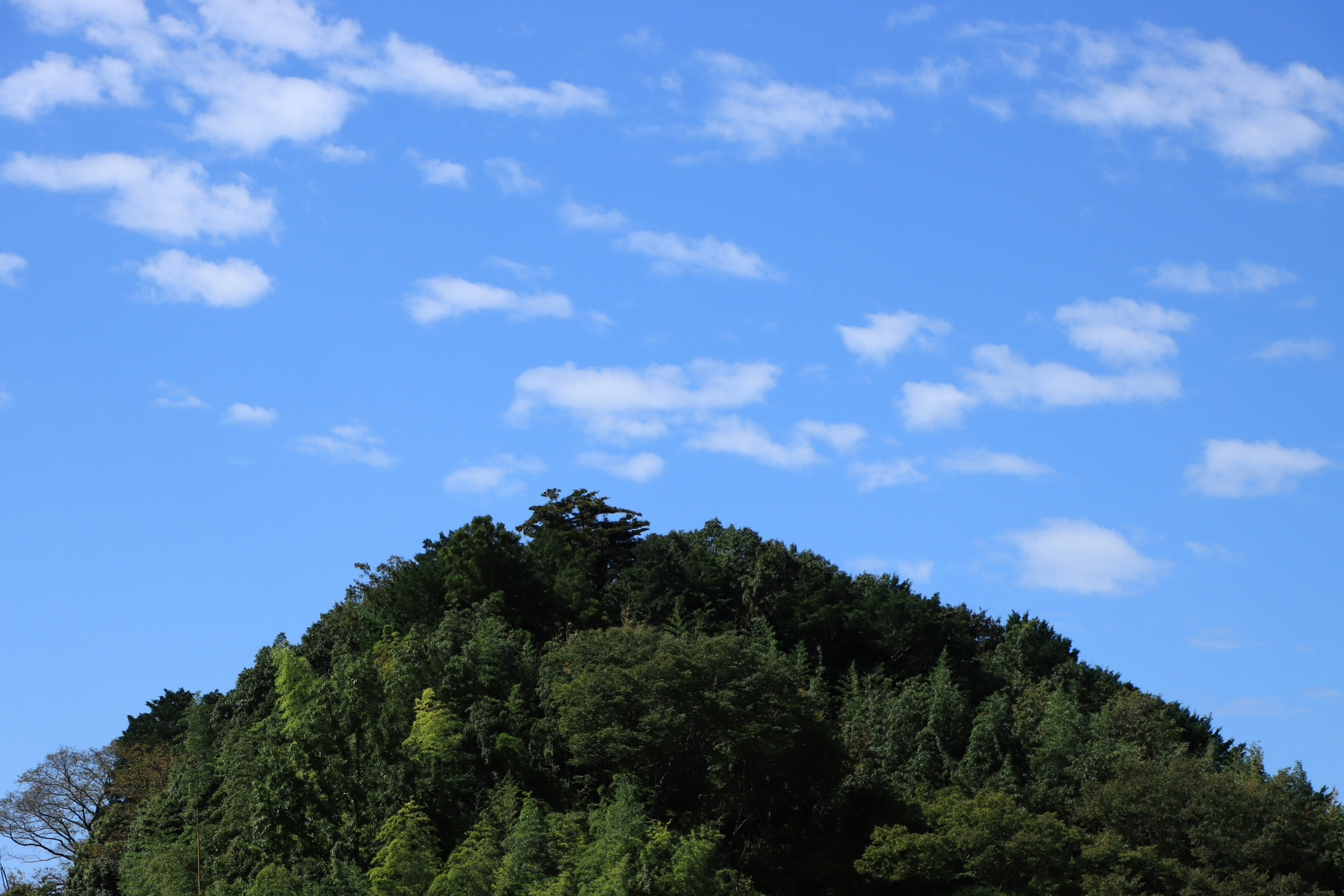 こんもり茂る森のある小山と青空
